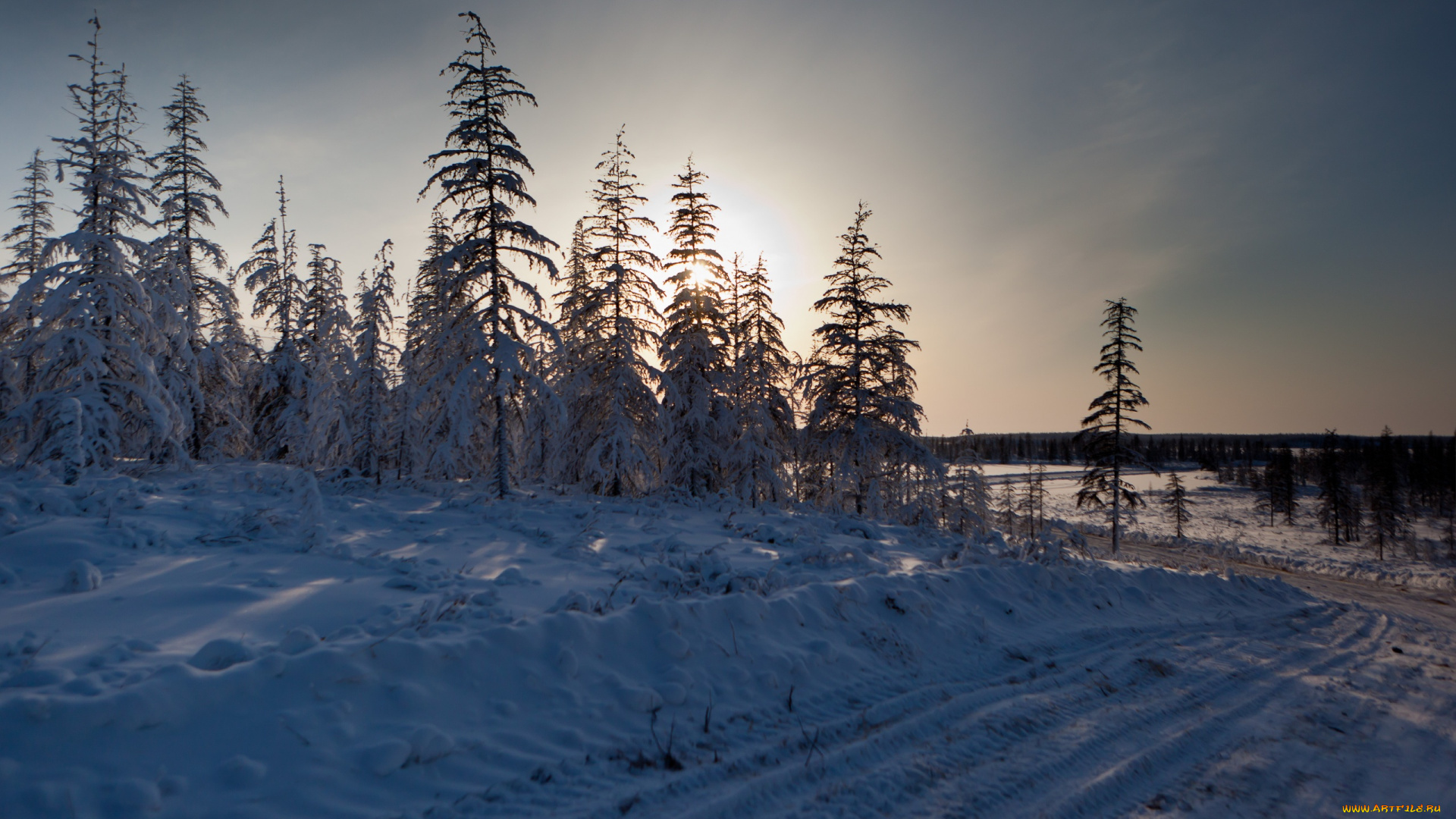 автор, сергей, доля, природа, зима, Якутия