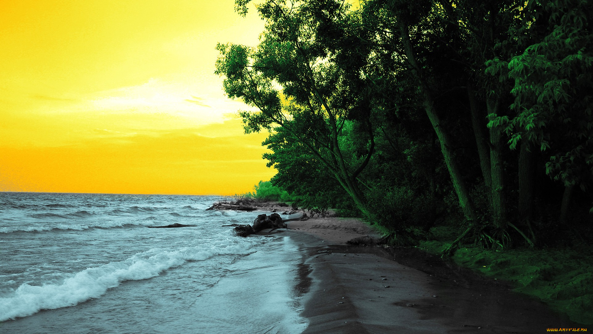 природа, побережье, море, берег, лес