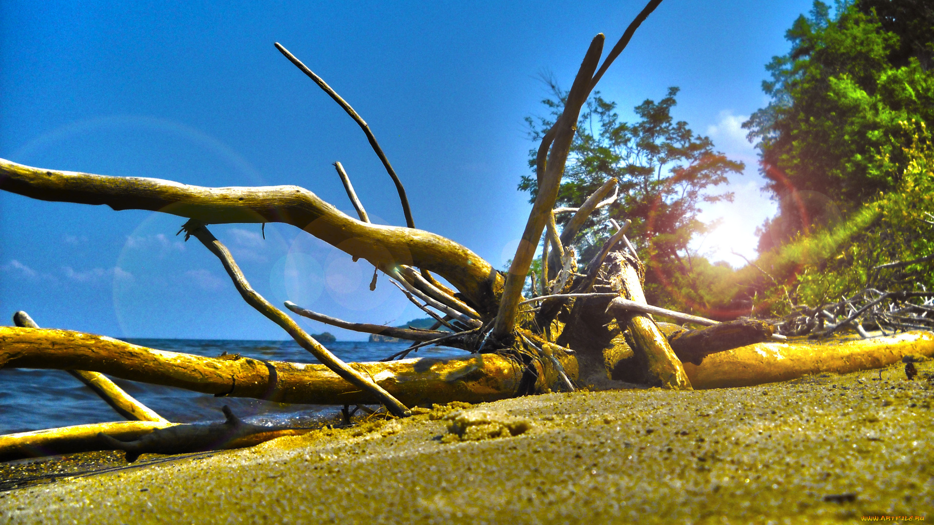 природа, побережье, небо, облака, пляж, макро, hdr, дерево, лето, берег, море, размытость