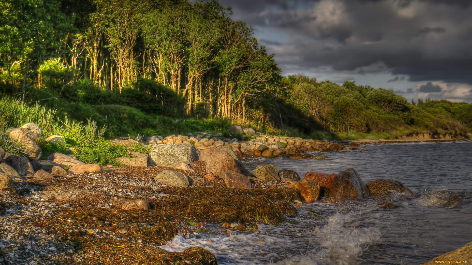 природа, побережье, озеро, лес