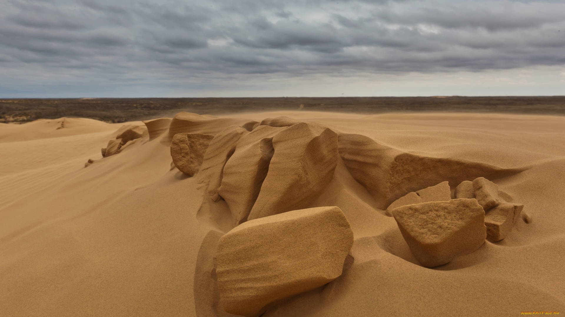 сергей, доля, природа, пустыни, desert