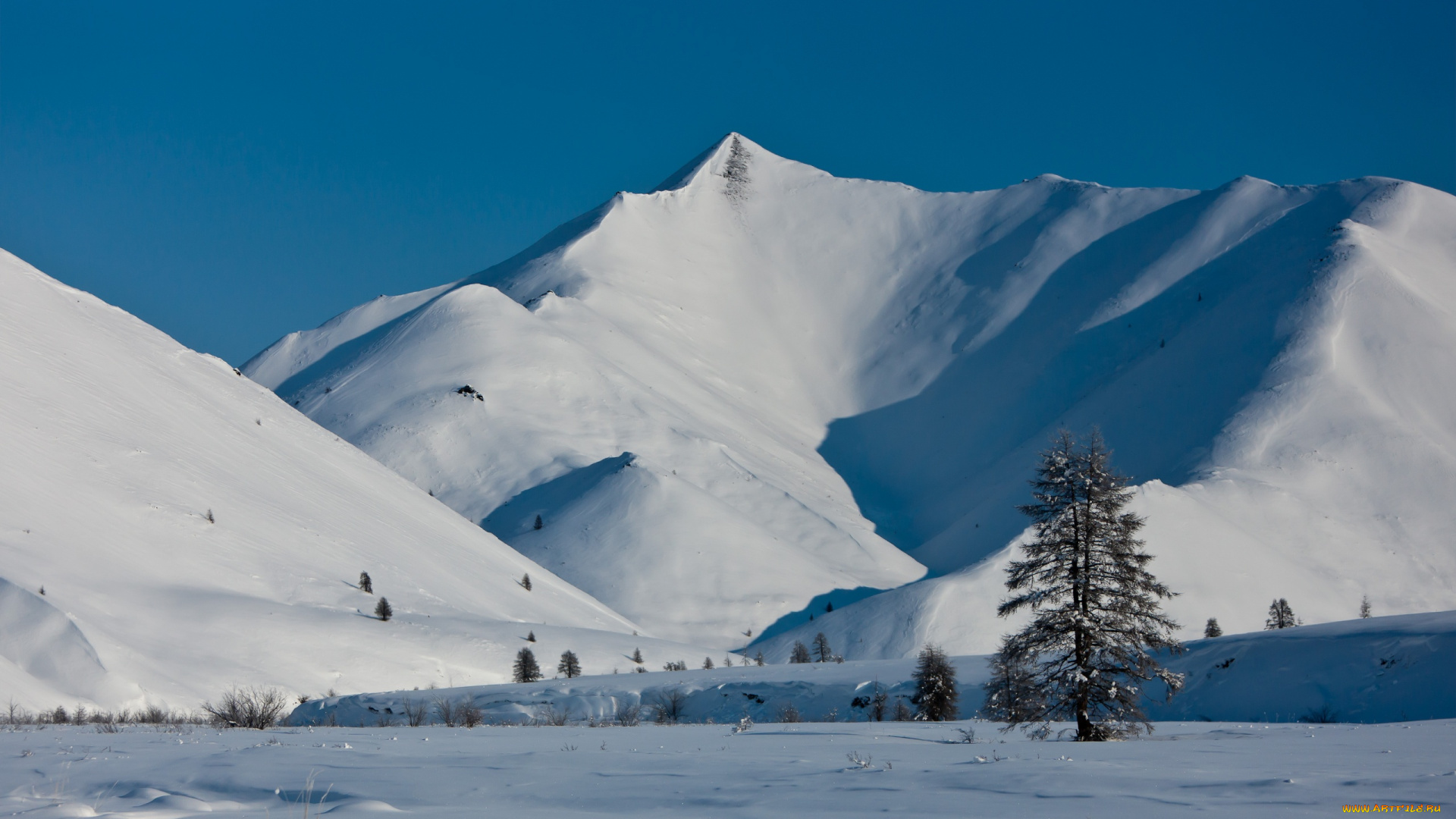 сергей, доля, природа, зима, Якутия