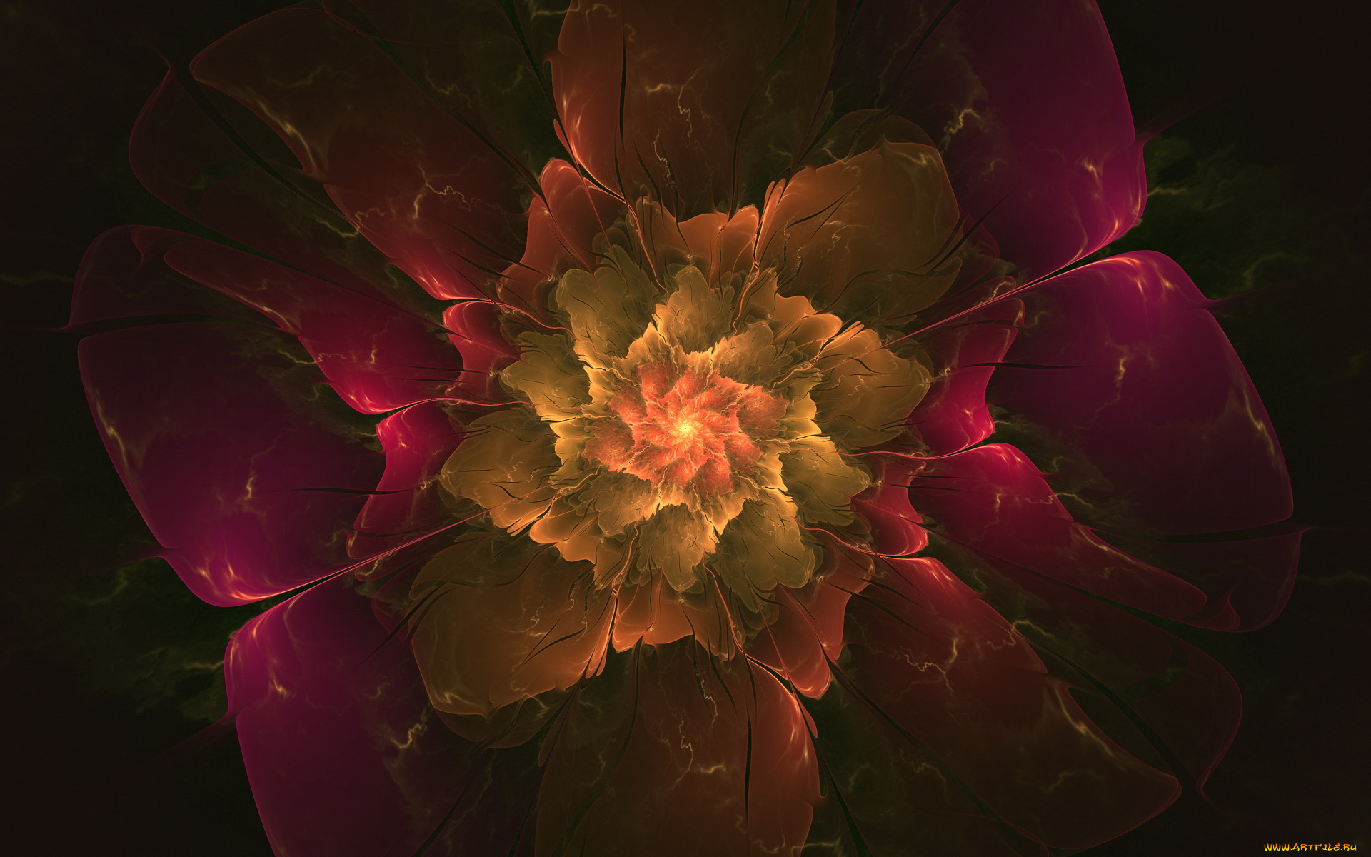 3д, графика, fractal, фракталы, фон, рисунок, линии