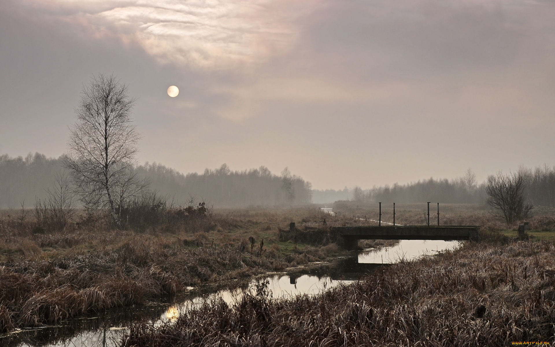 природа, другое, вечер, пейзаж, речка, поле