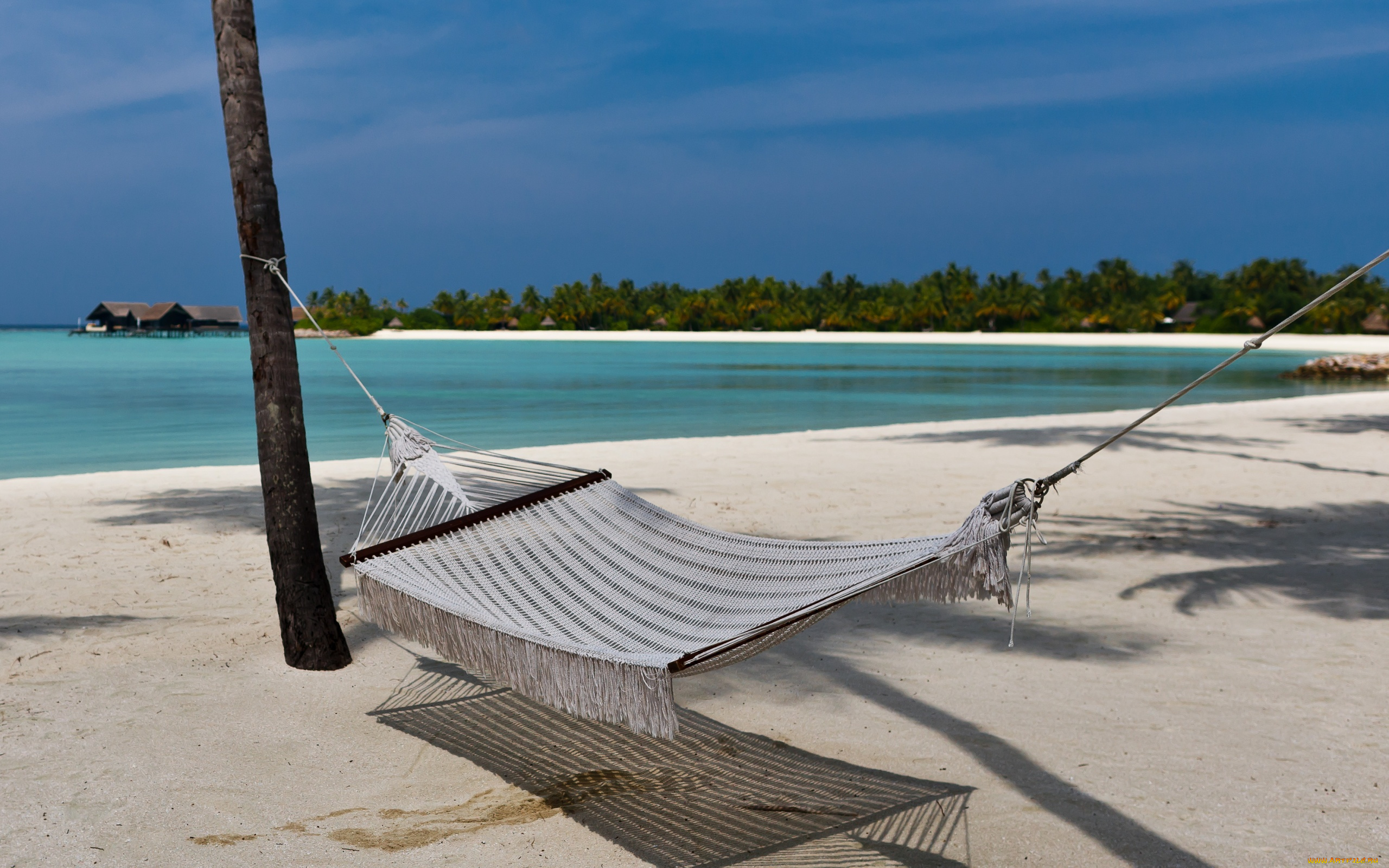 автор, сергей, доля, природа, тропики, гамак, мальдивы