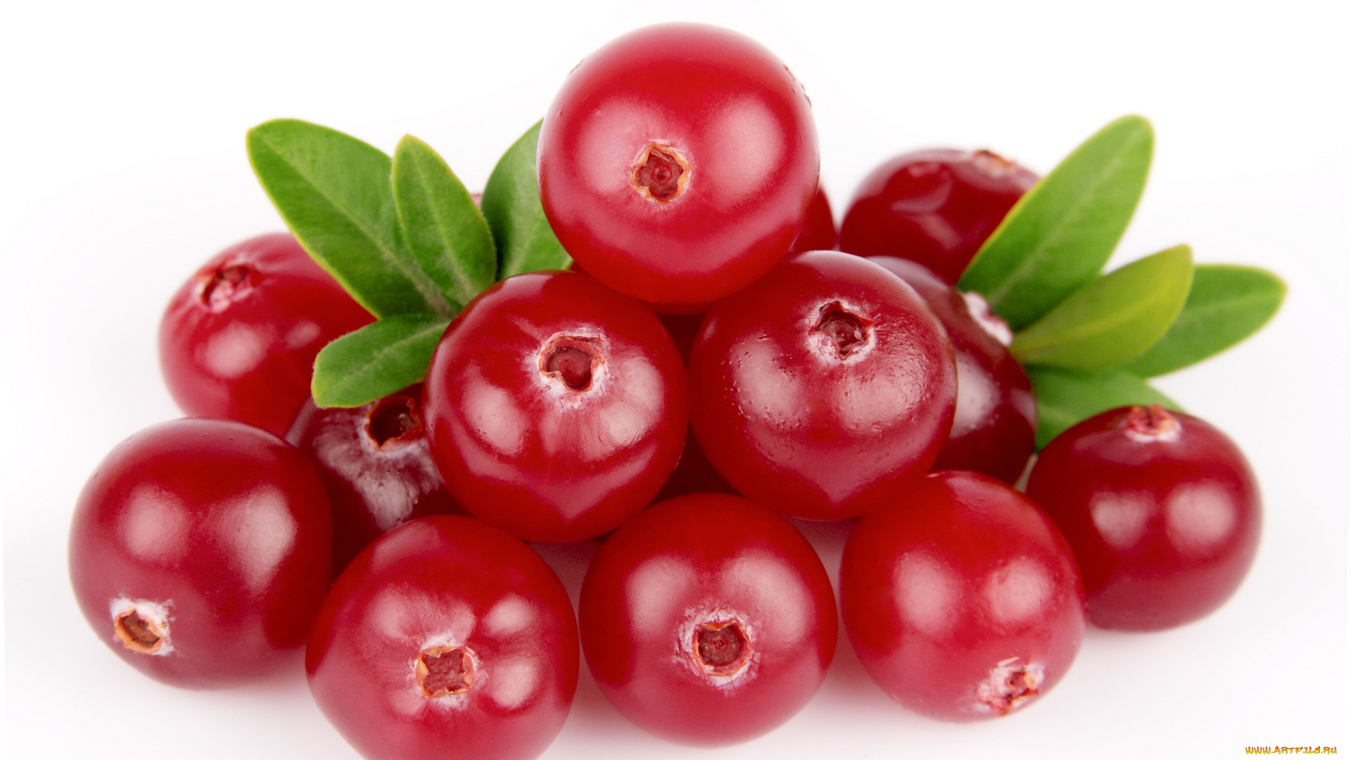 еда, брусника, ягоды, витамины