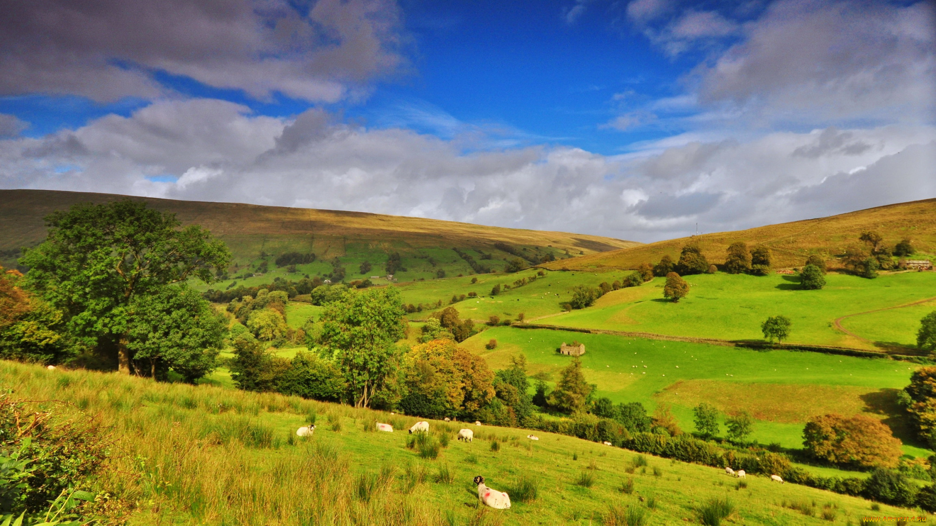 keswick, england, природа, поля