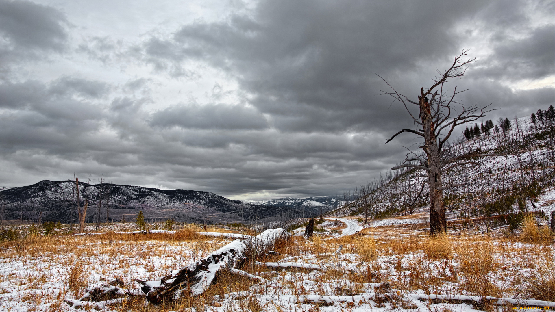 природа, горы, пейзаж, дерево, поле