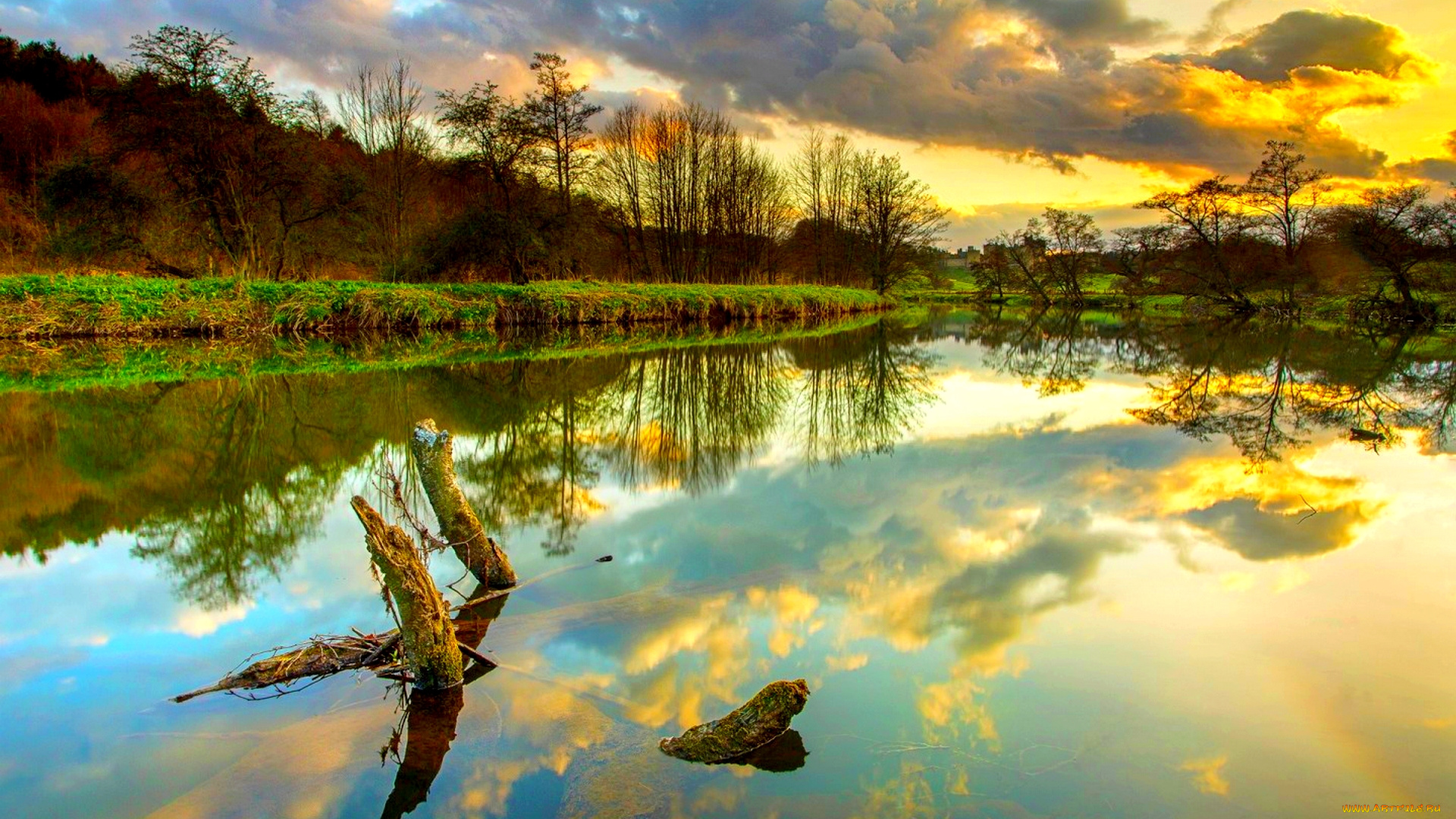 природа, реки, озера, река, деревья, трава, коряга, облака