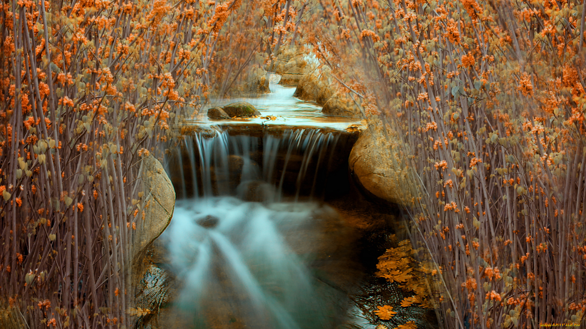 природа, водопады, река, кусты, камни