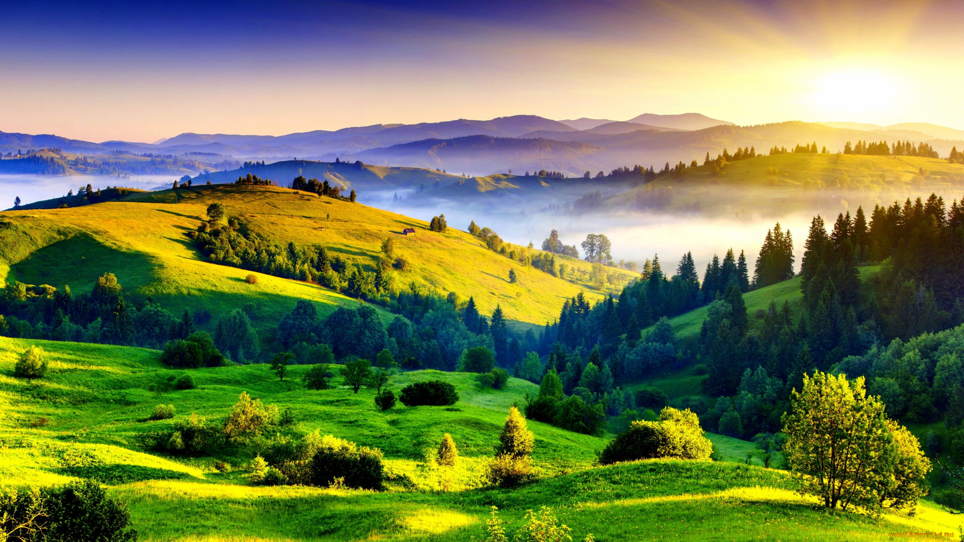 природа, восходы, закаты, холмы, леса, луга, туман, утро, лето, восход