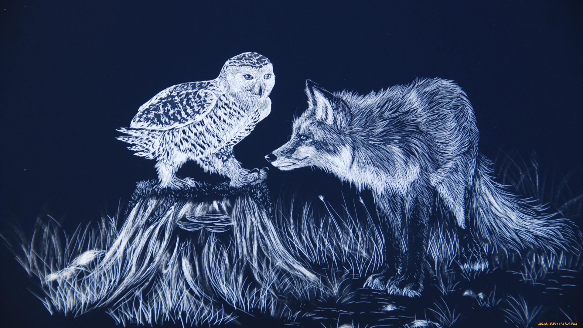 рисованные, животные, лисы, сова, лиса