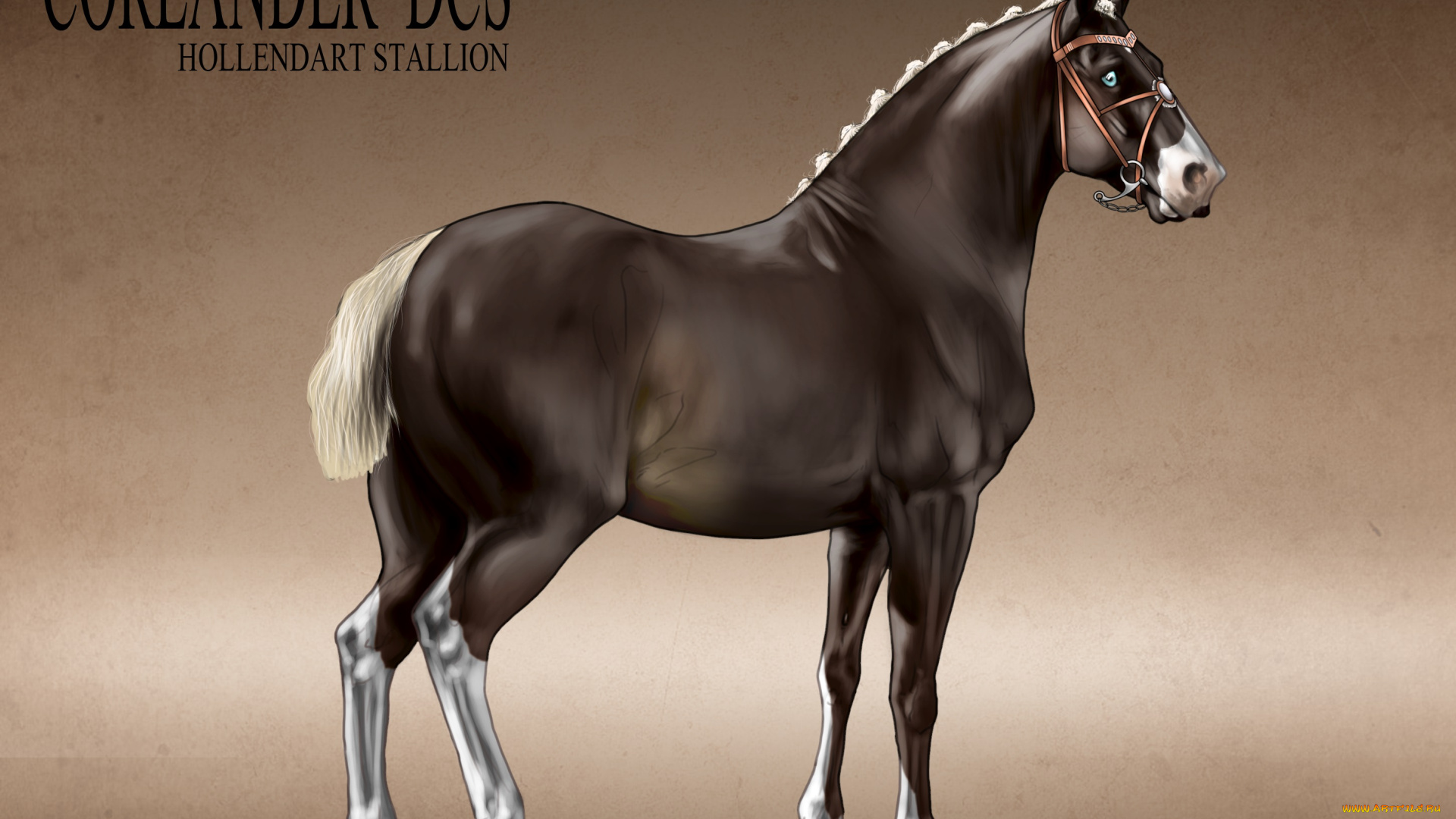 рисованные, животные, лошади, лошадь