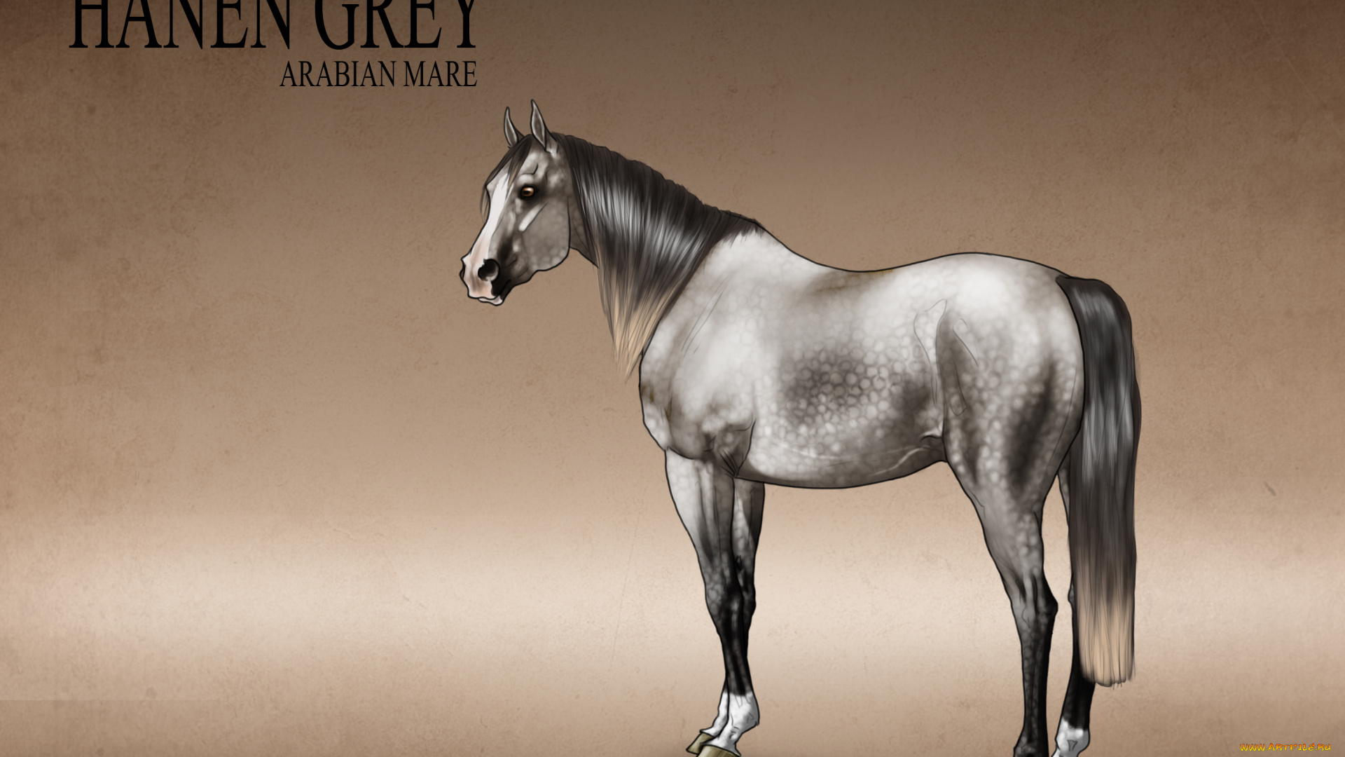 рисованные, животные, лошади, лошадь