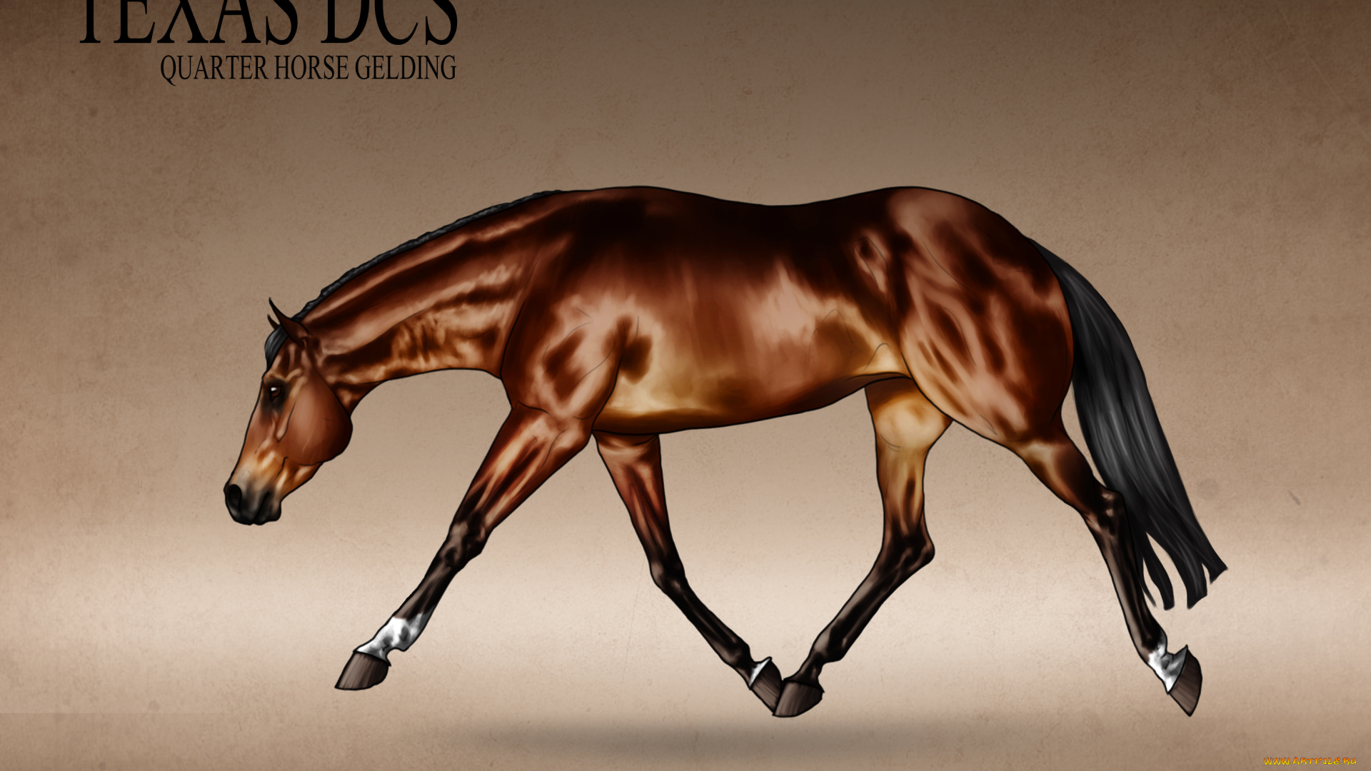 рисованные, животные, лошади, лошадь