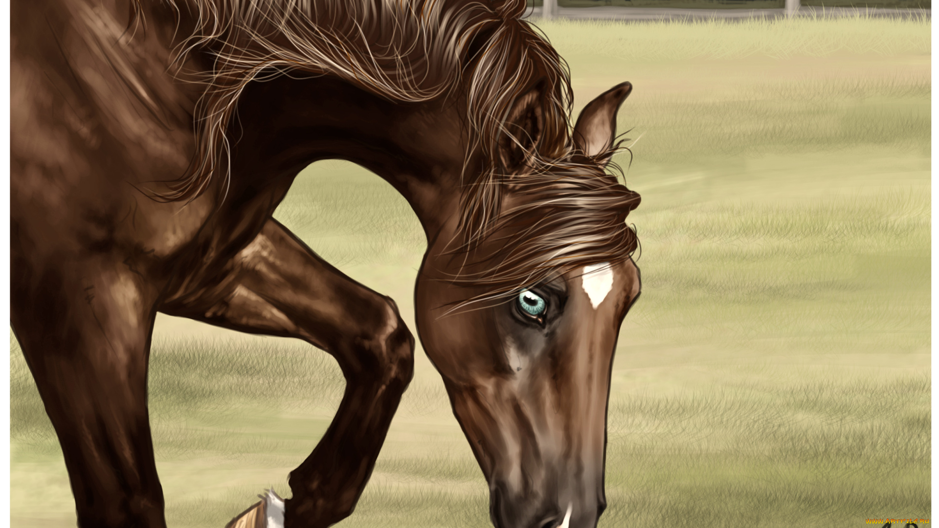 рисованные, животные, лошади, лошадь