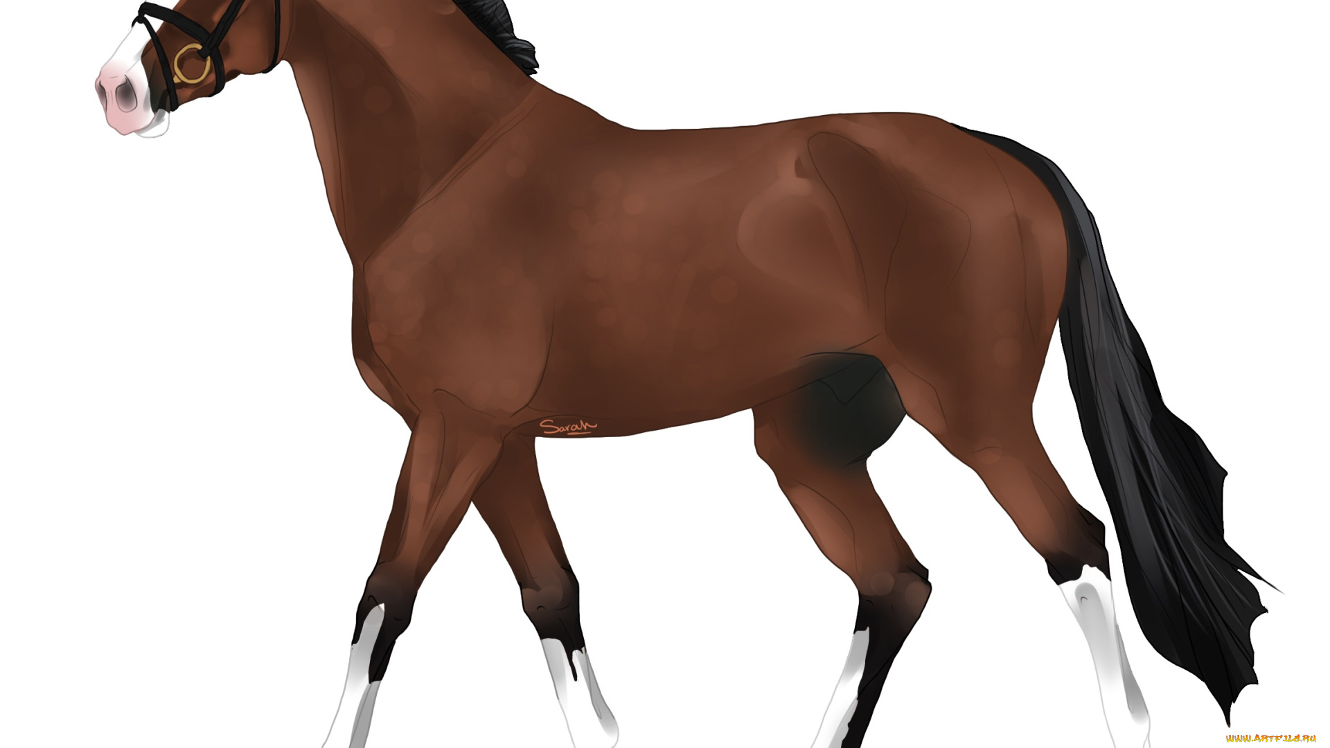 рисованные, животные, лошади, лошадь