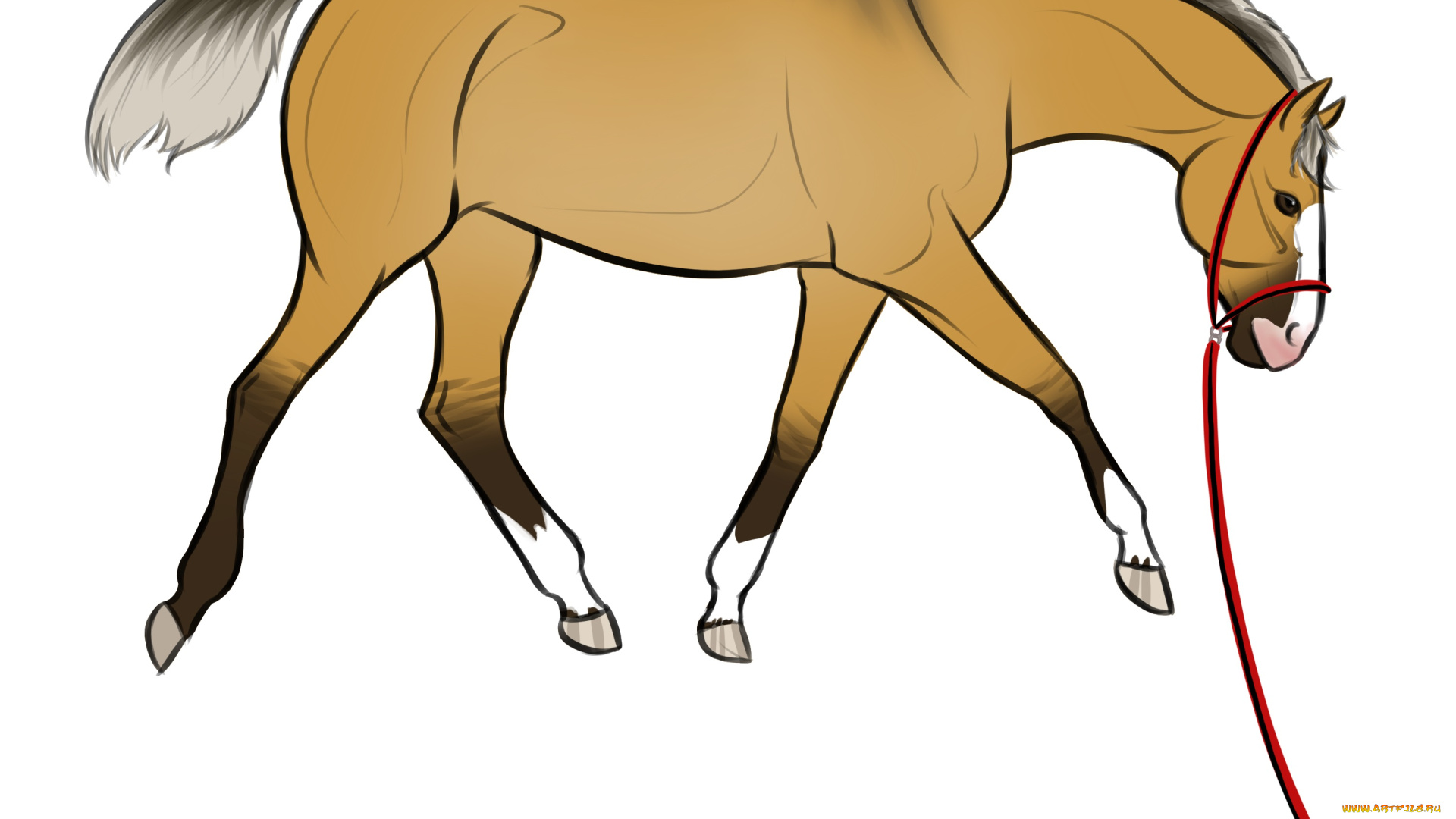 рисованные, животные, лошади, лошадь
