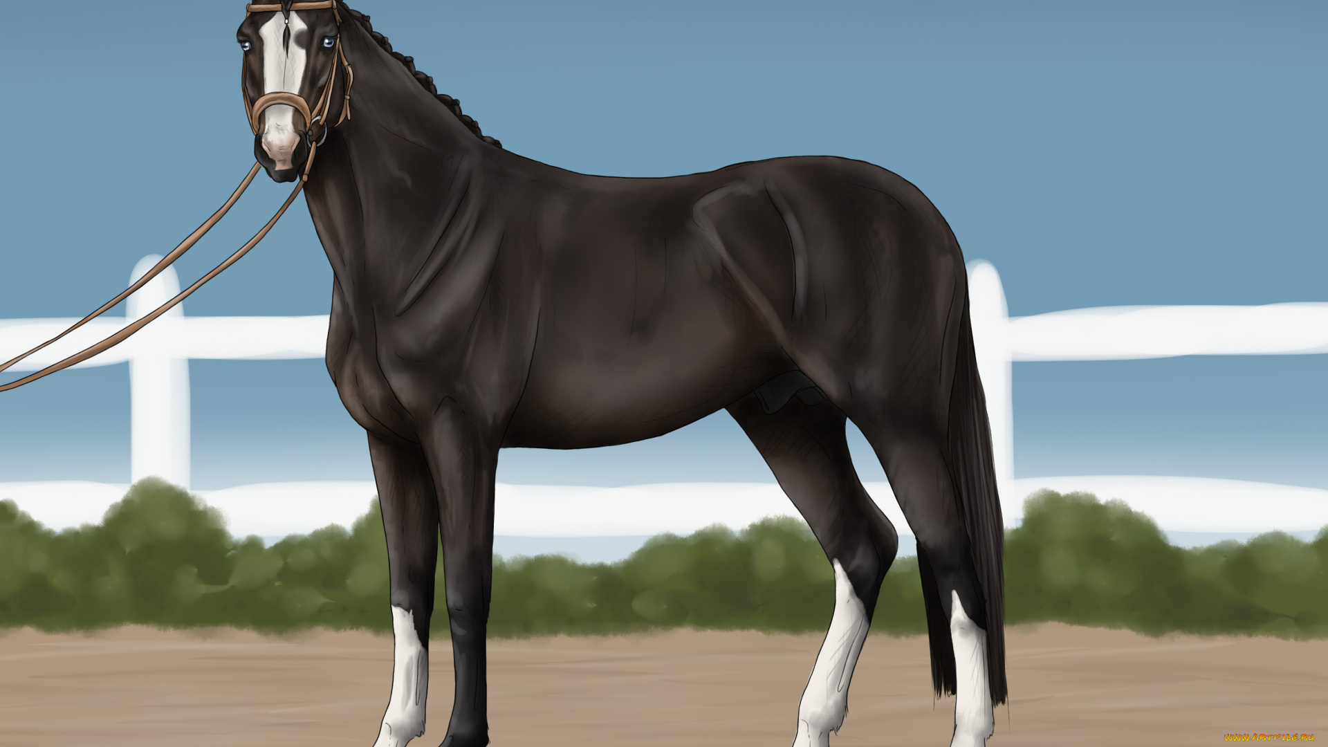 рисованные, животные, лошади, лошадь