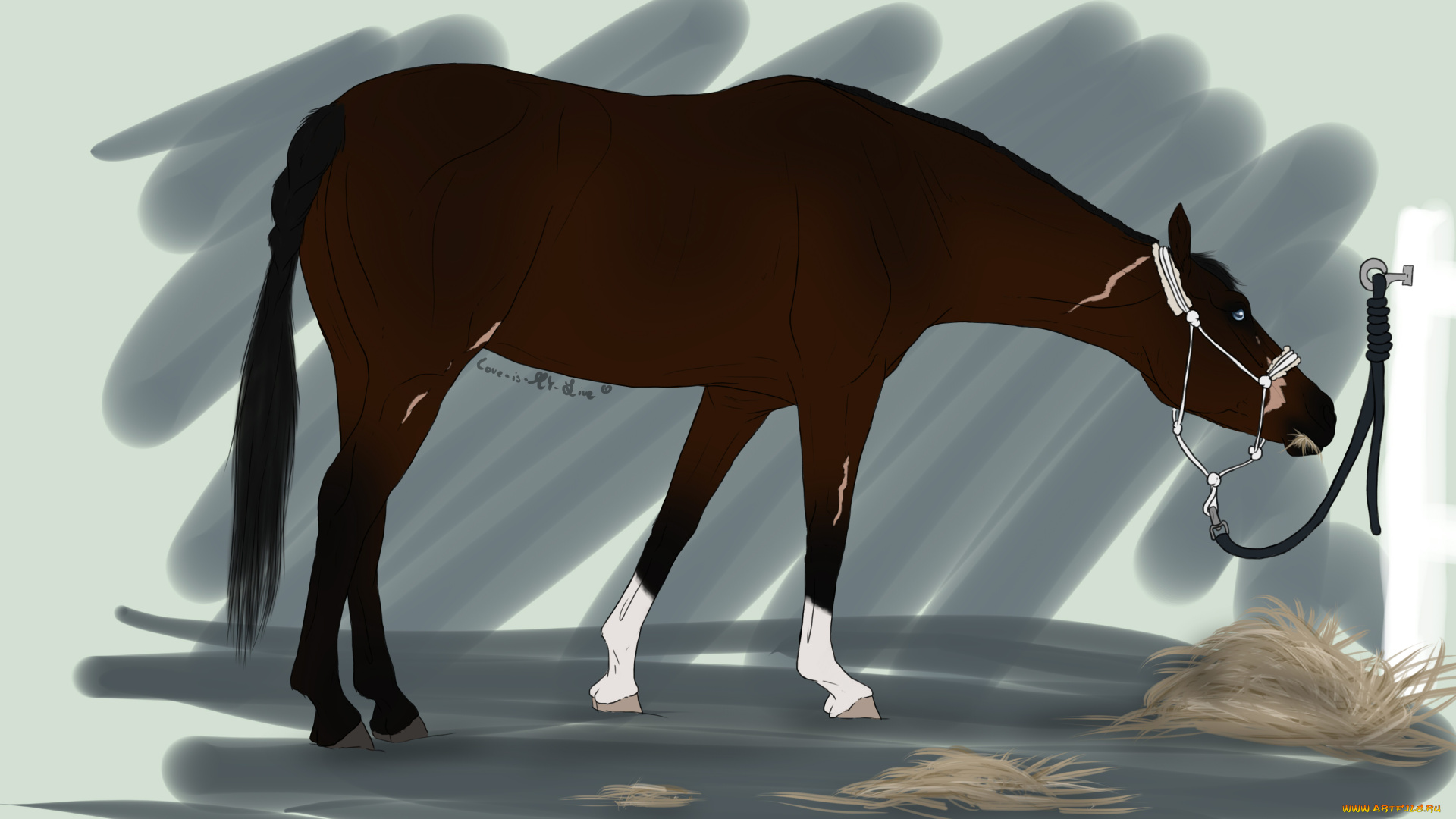 рисованные, животные, лошади, лошадь