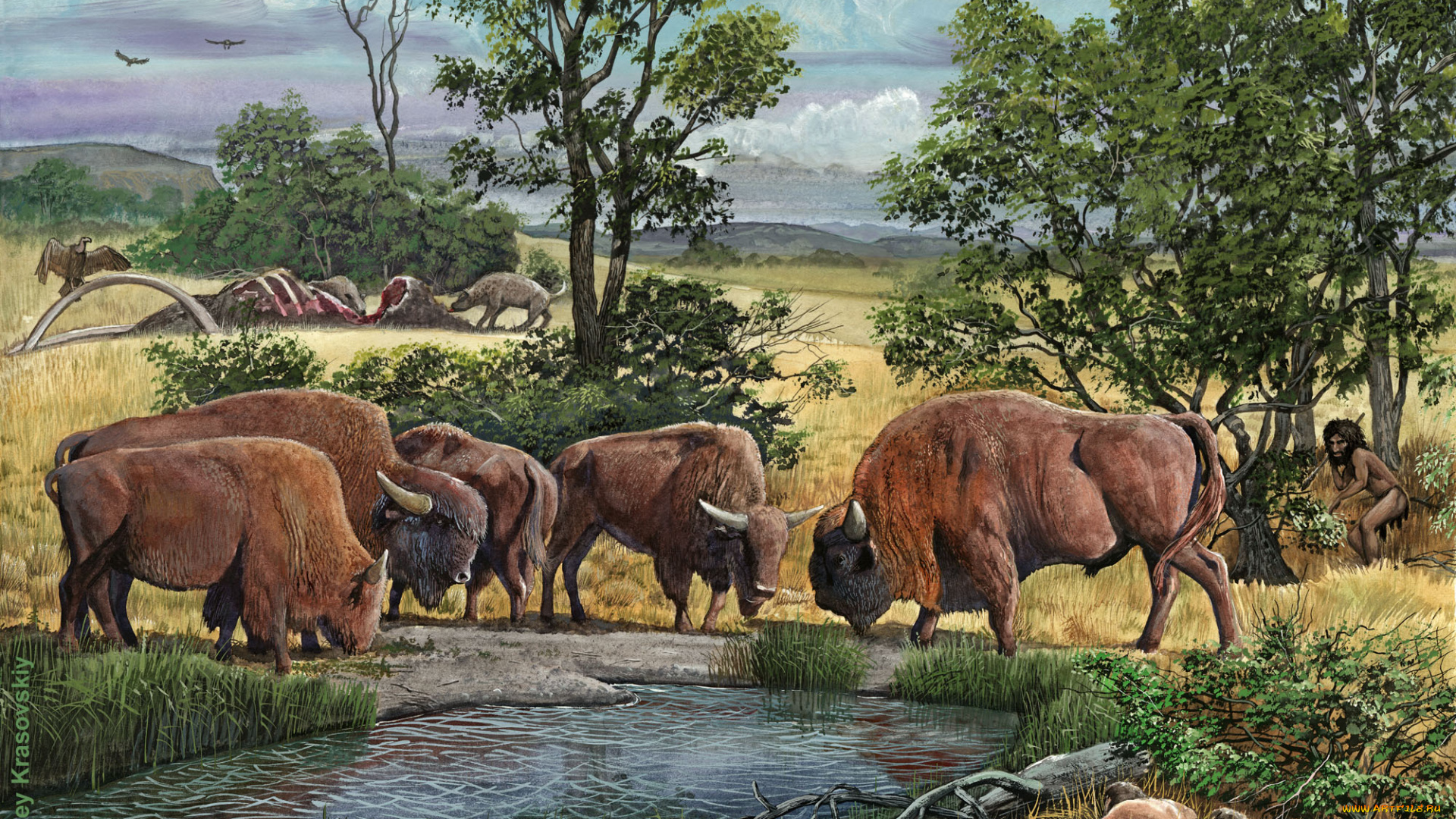 рисованные, животные, зубры, водоем