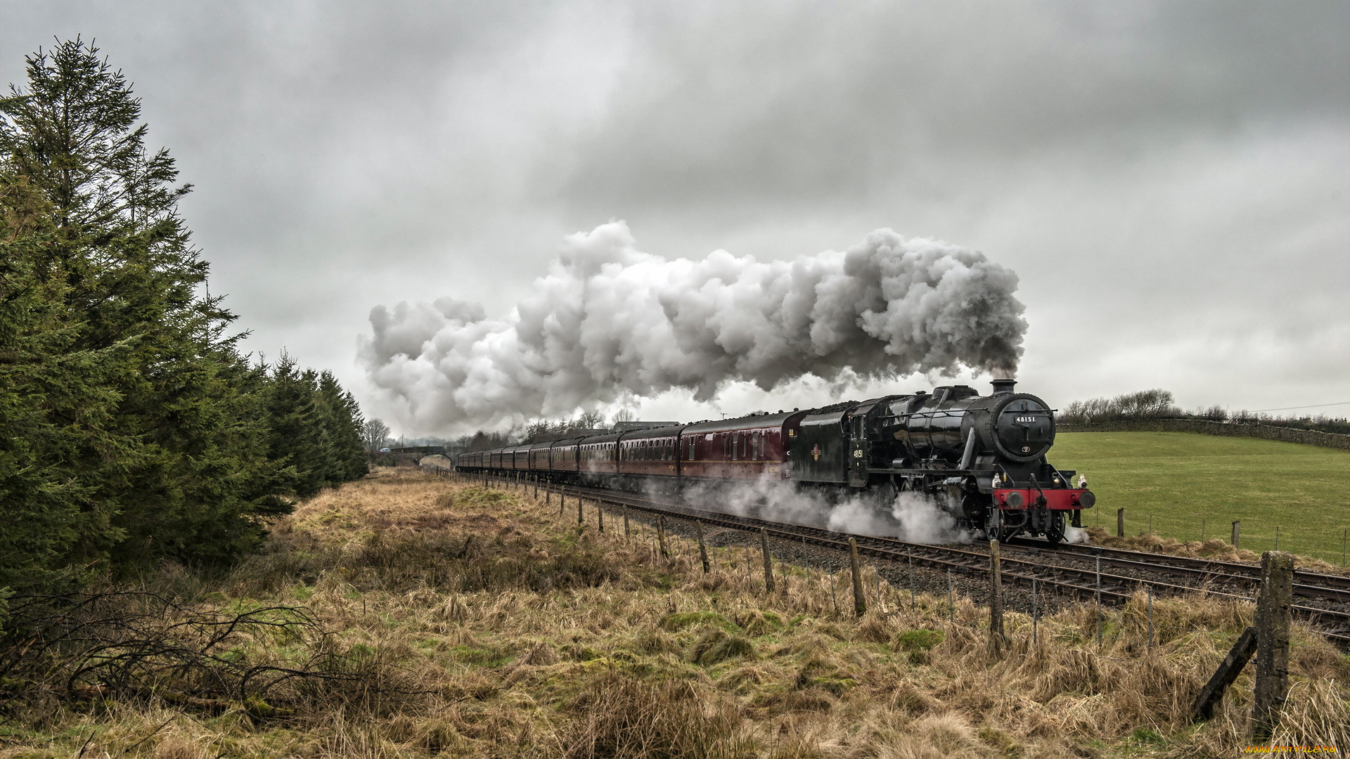 техника, паровозы, паровоз, вагоны, дым, пле, рельсы