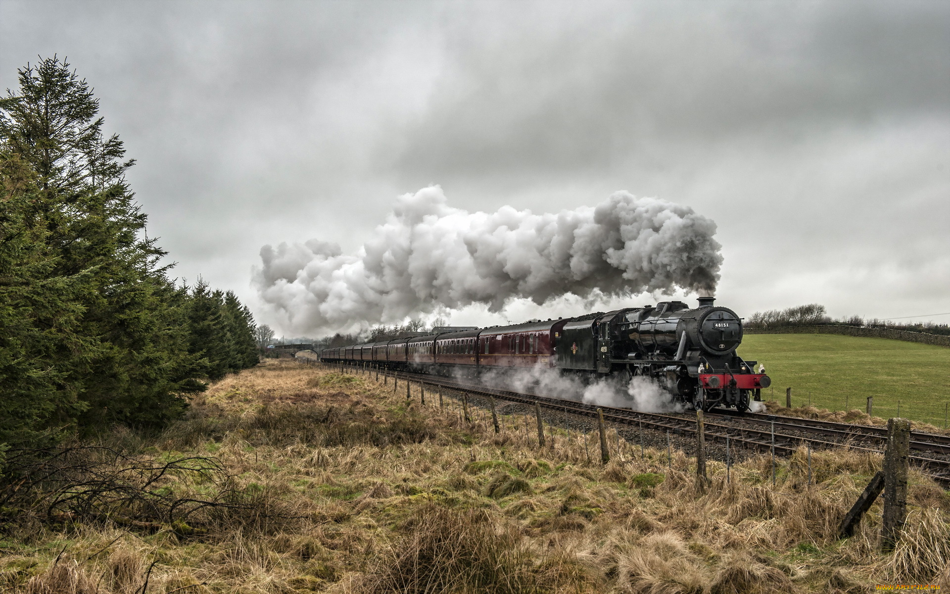 техника, паровозы, паровоз, вагоны, дым, пле, рельсы