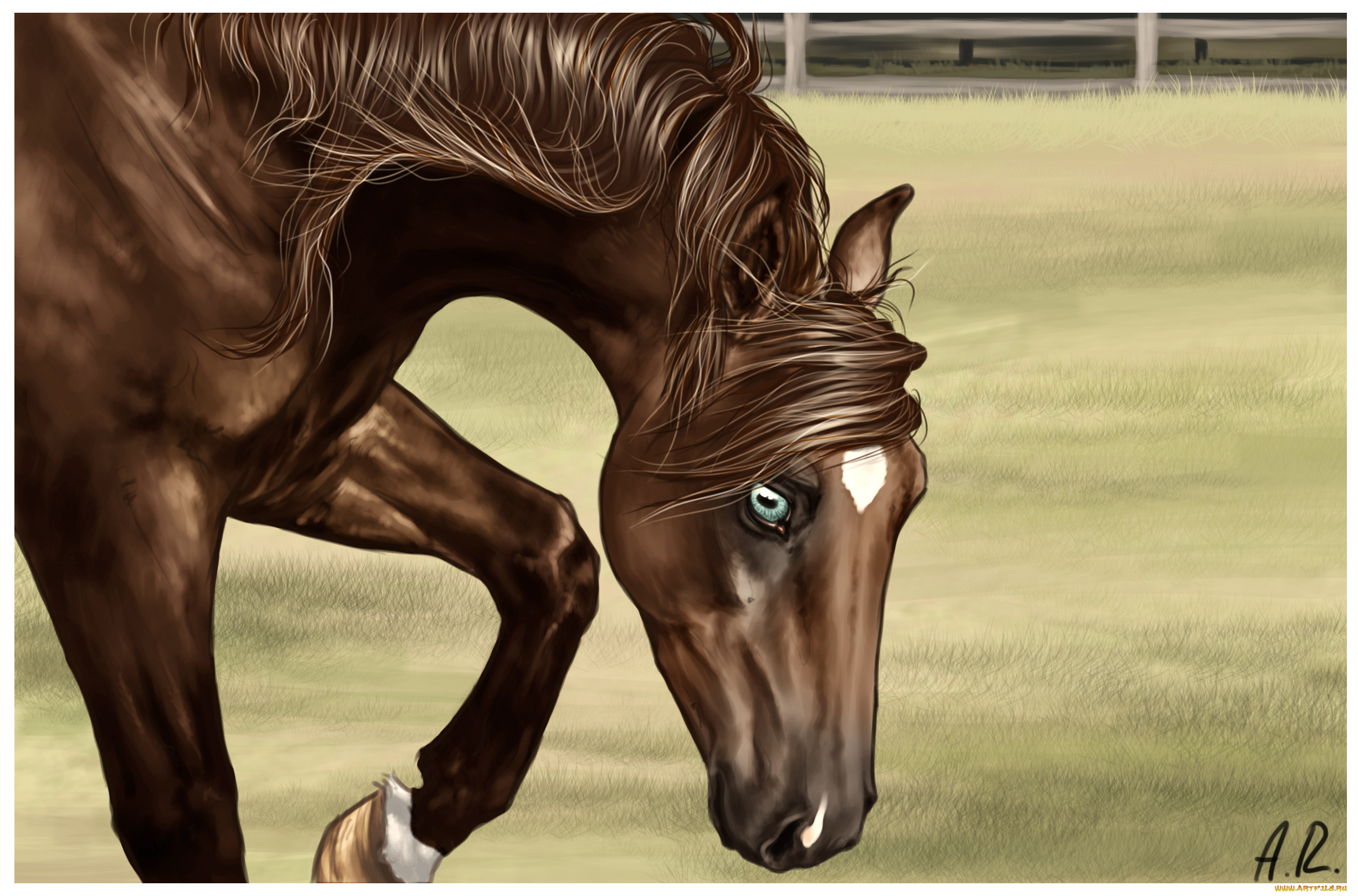 рисованные, животные, лошади, лошадь