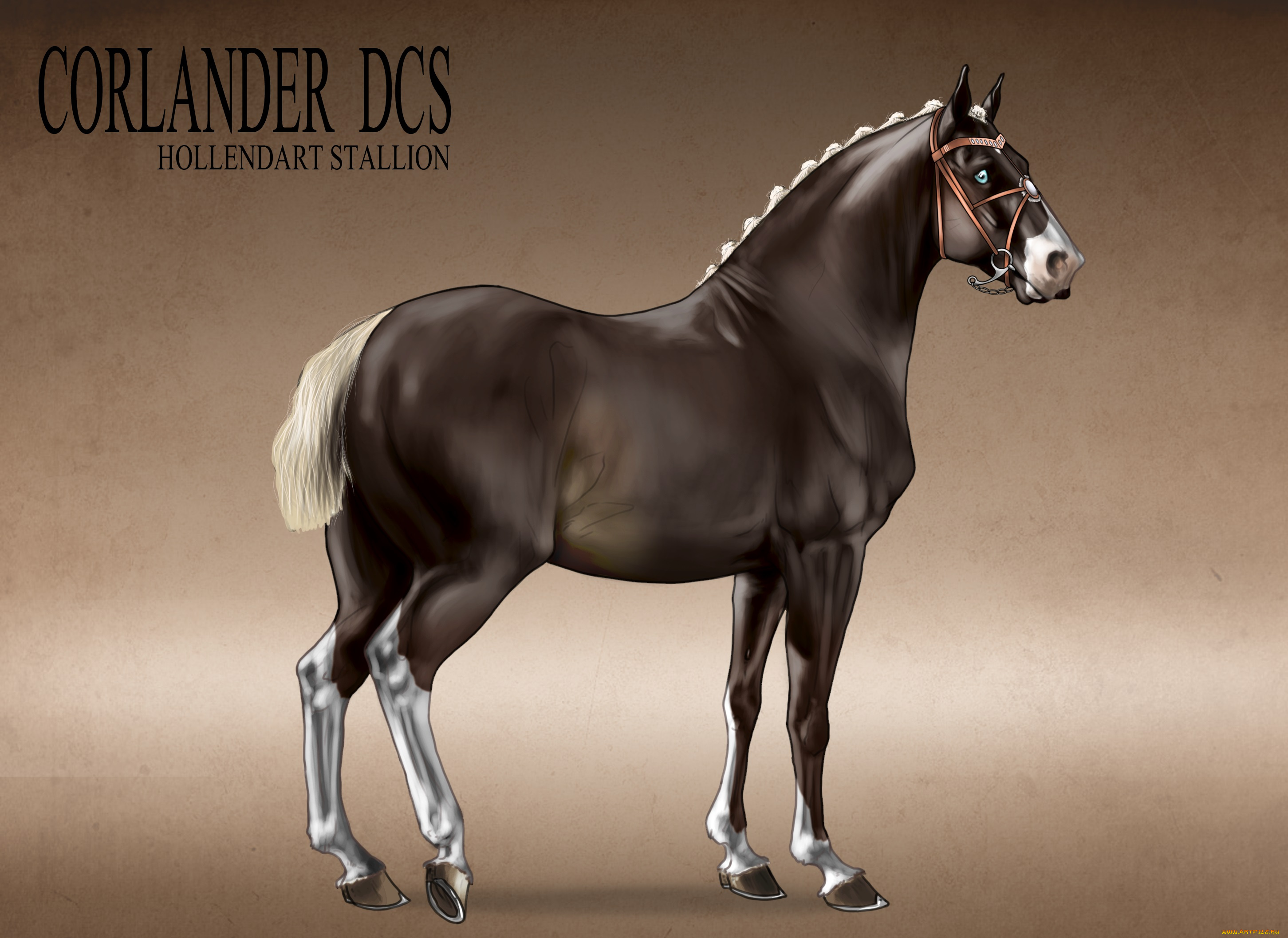 рисованные, животные, лошади, лошадь