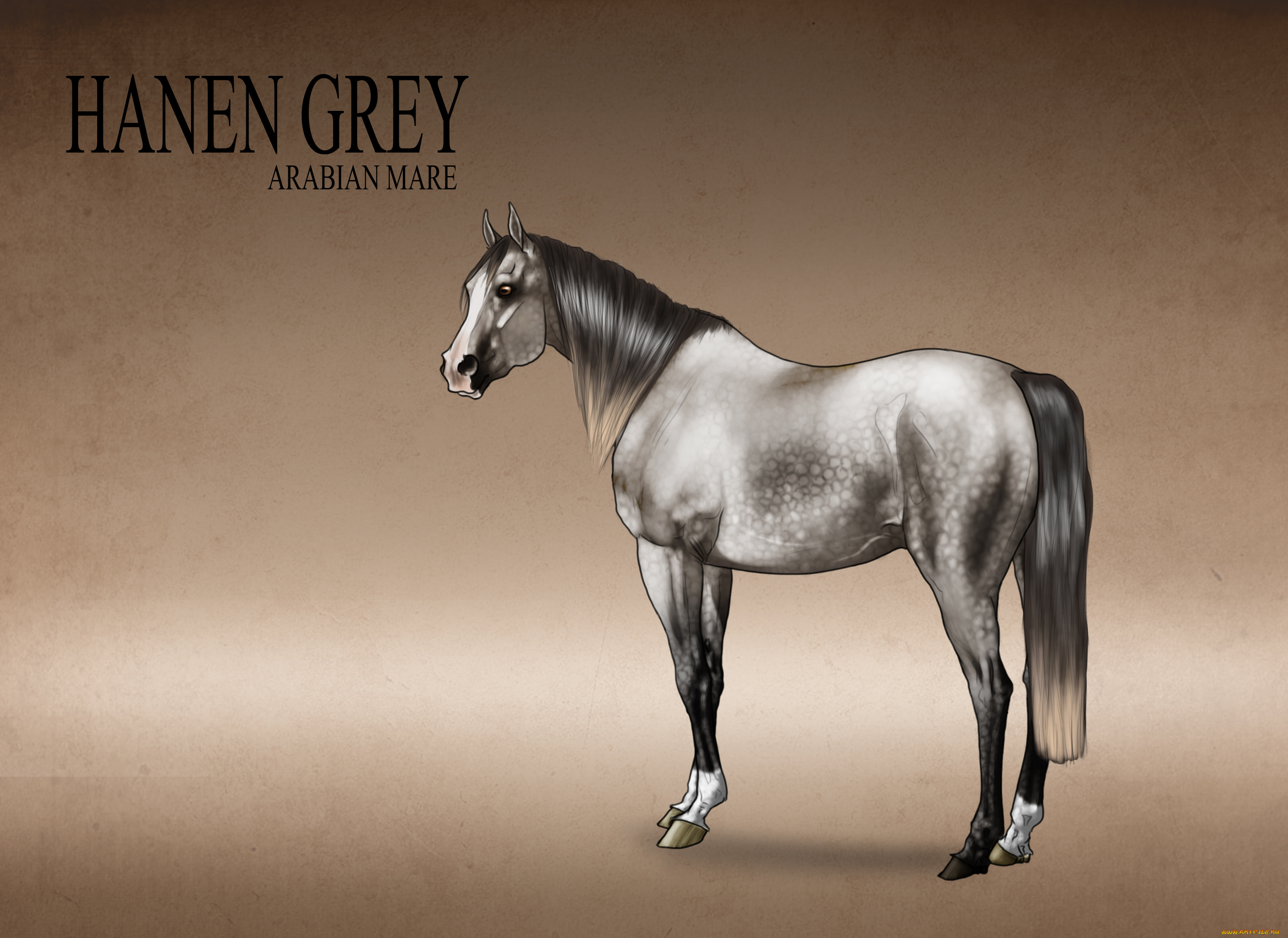 рисованные, животные, лошади, лошадь