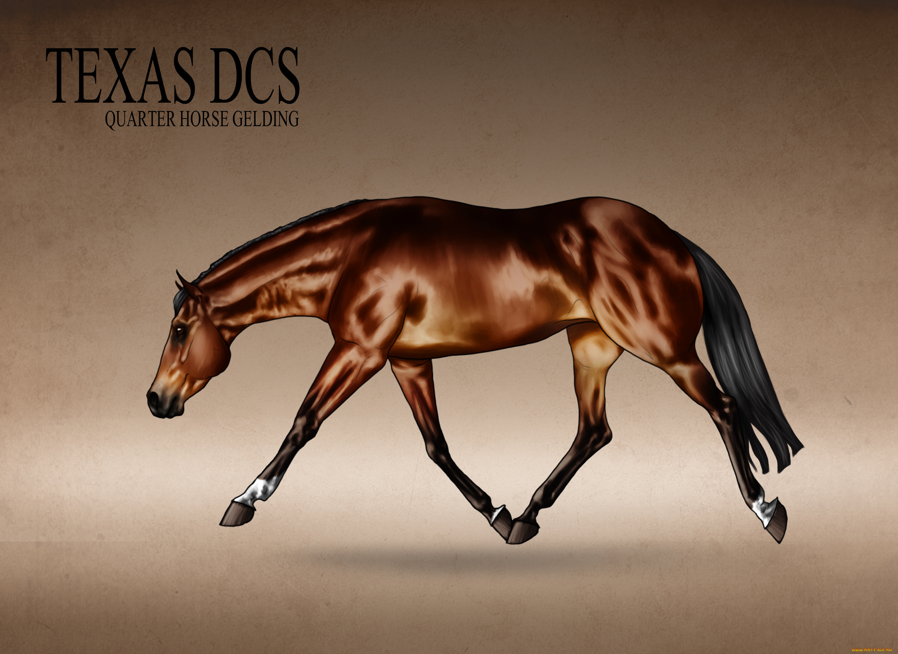 рисованные, животные, лошади, лошадь