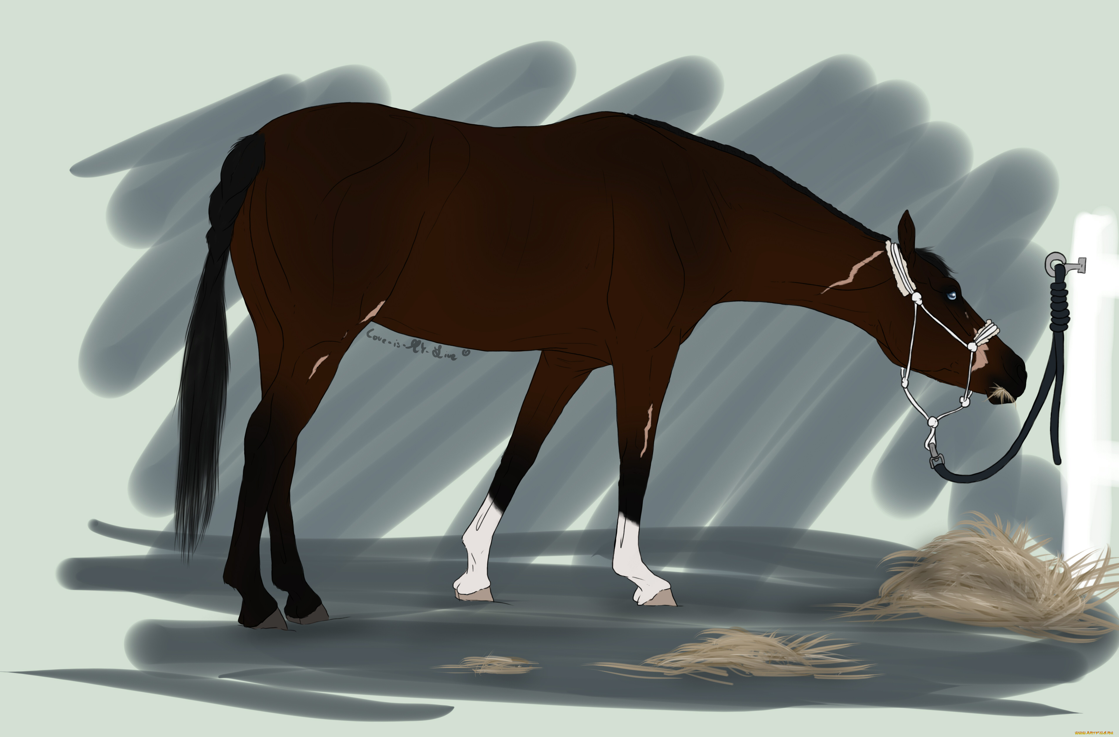 рисованные, животные, лошади, лошадь