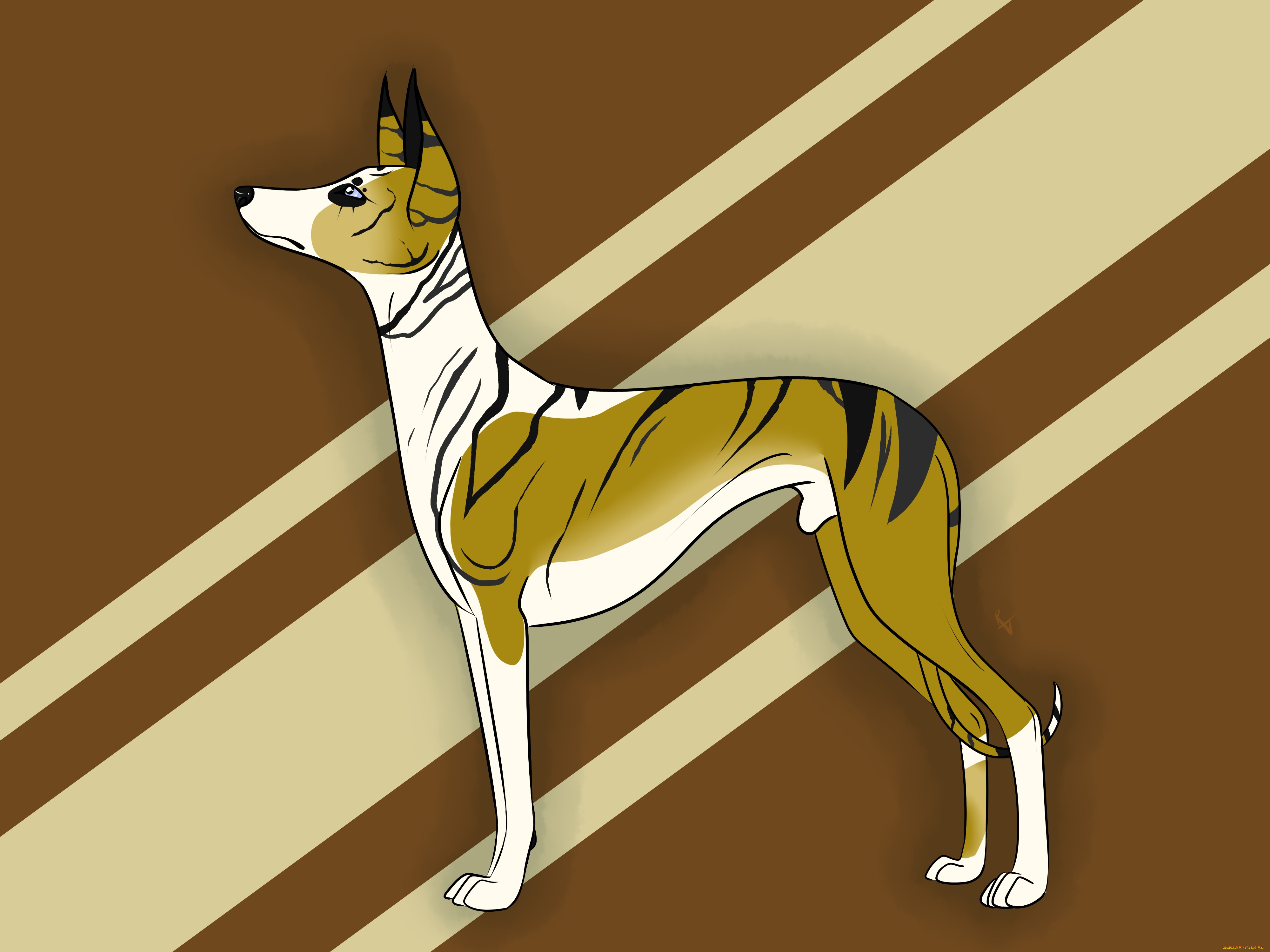 рисованные, животные, собаки, собака