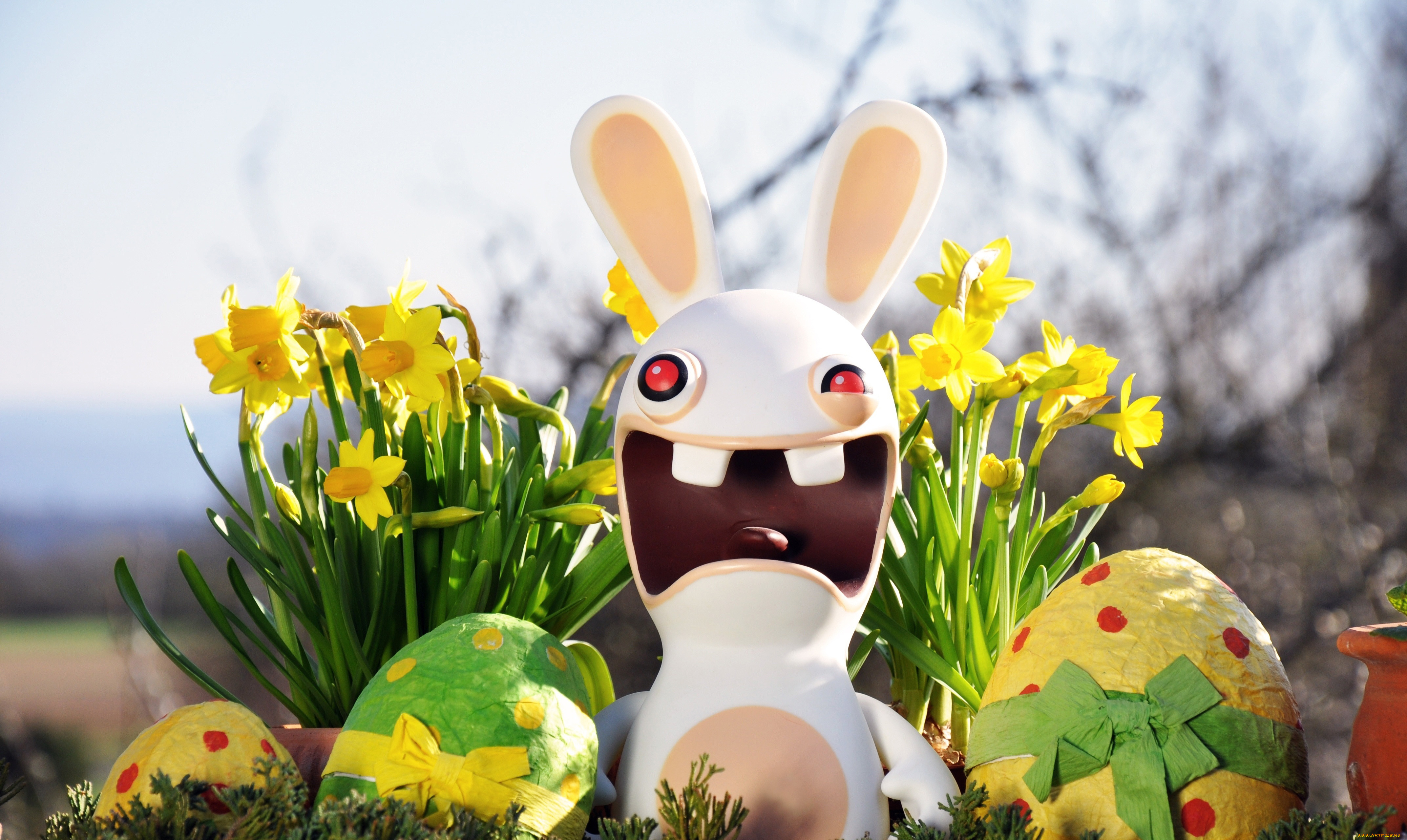 пасха, праздничные, кролик, яйца