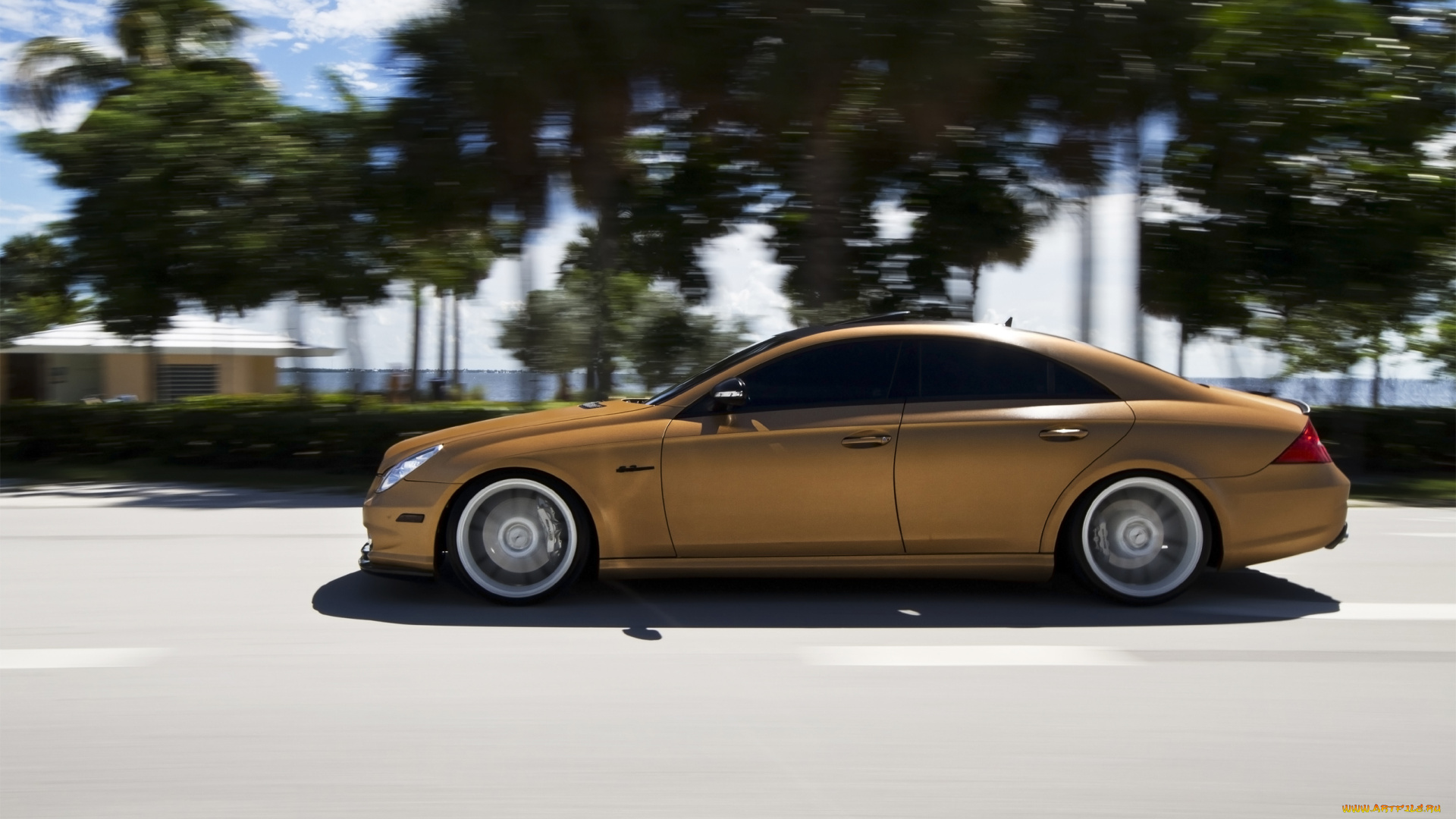 автомобили, mercedes-benz, gold, mercedes