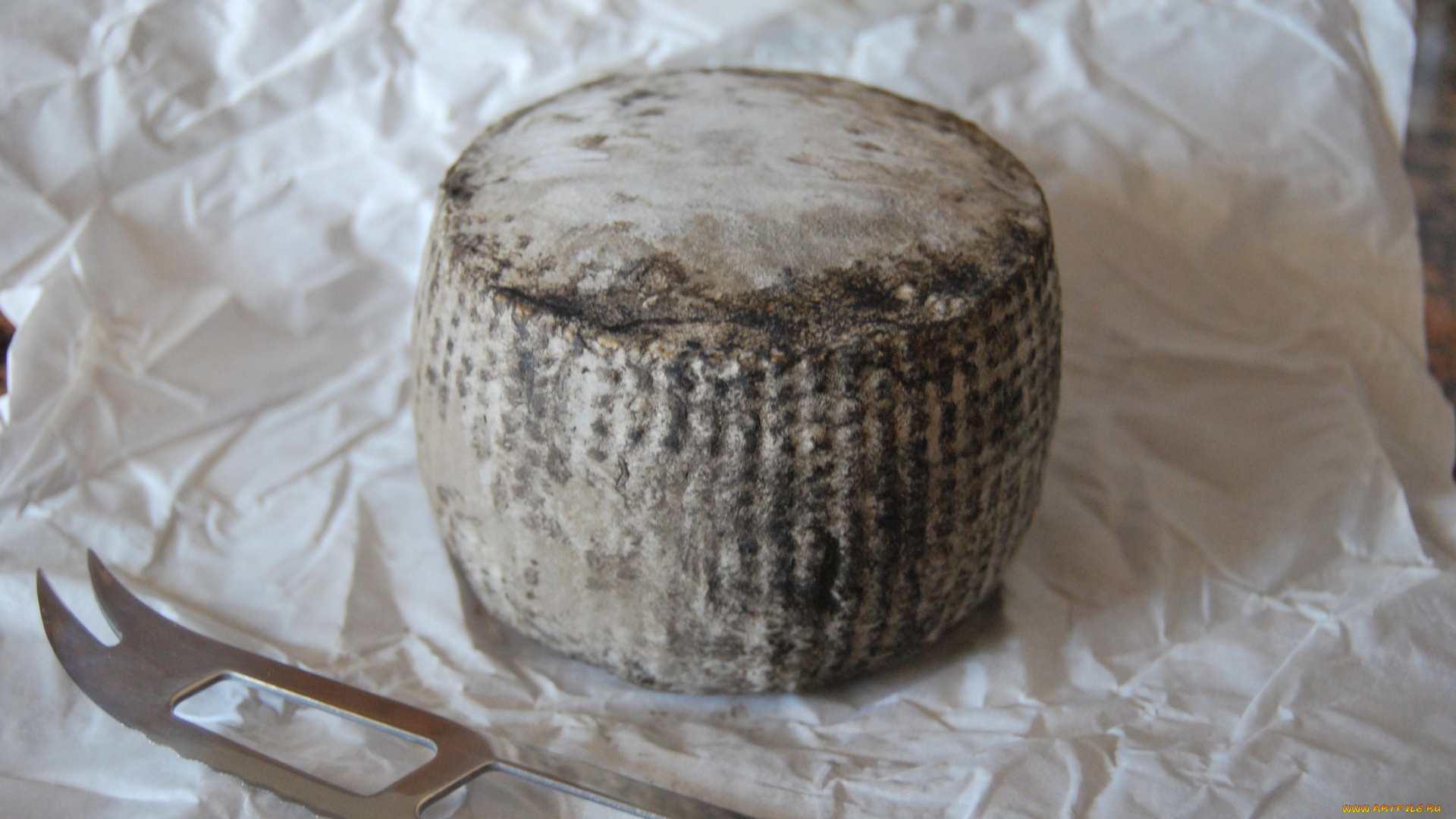 bauma, madurat, cabra, еда, сырные, изделия, сыр