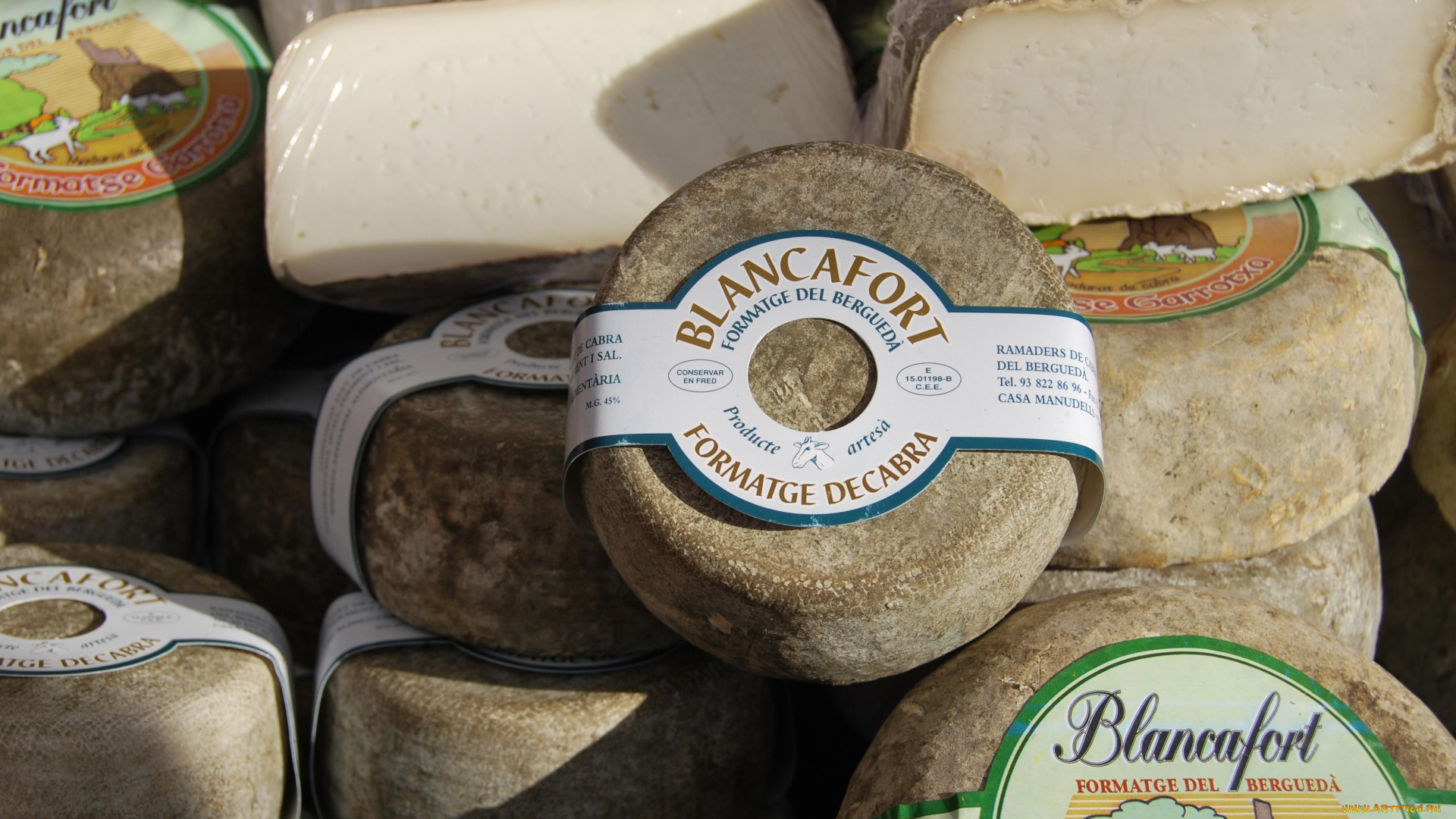 blancafort, еда, сырные, изделия, сыр
