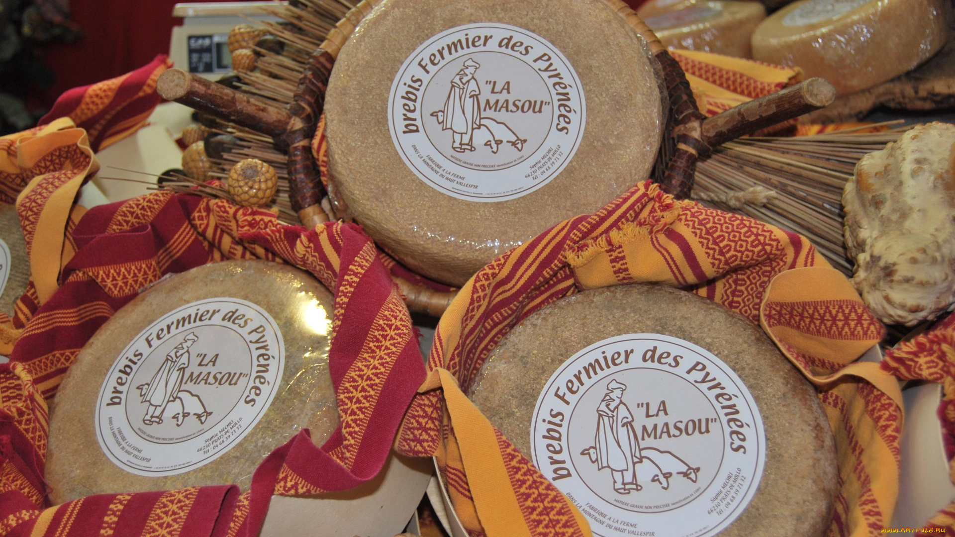 brebis, pyrenees, еда, сырные, изделия, сыр