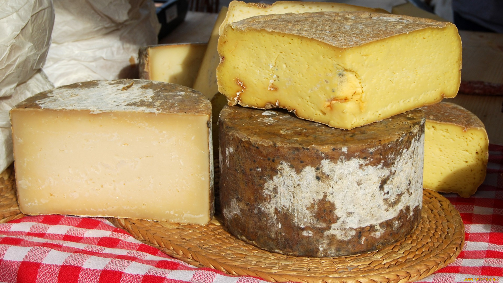 fira, de, reis, еда, сырные, изделия, сыр