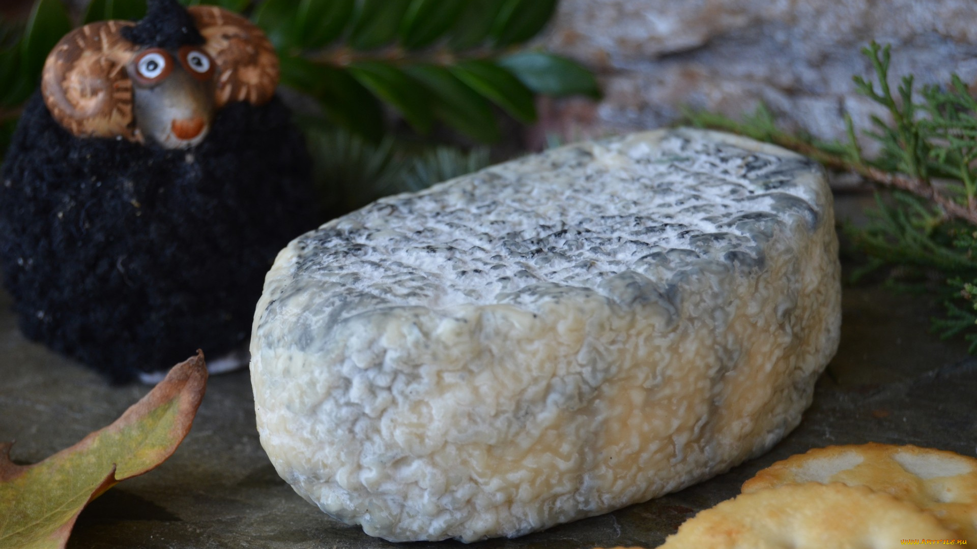 gour, noir, еда, сырные, изделия, сыр