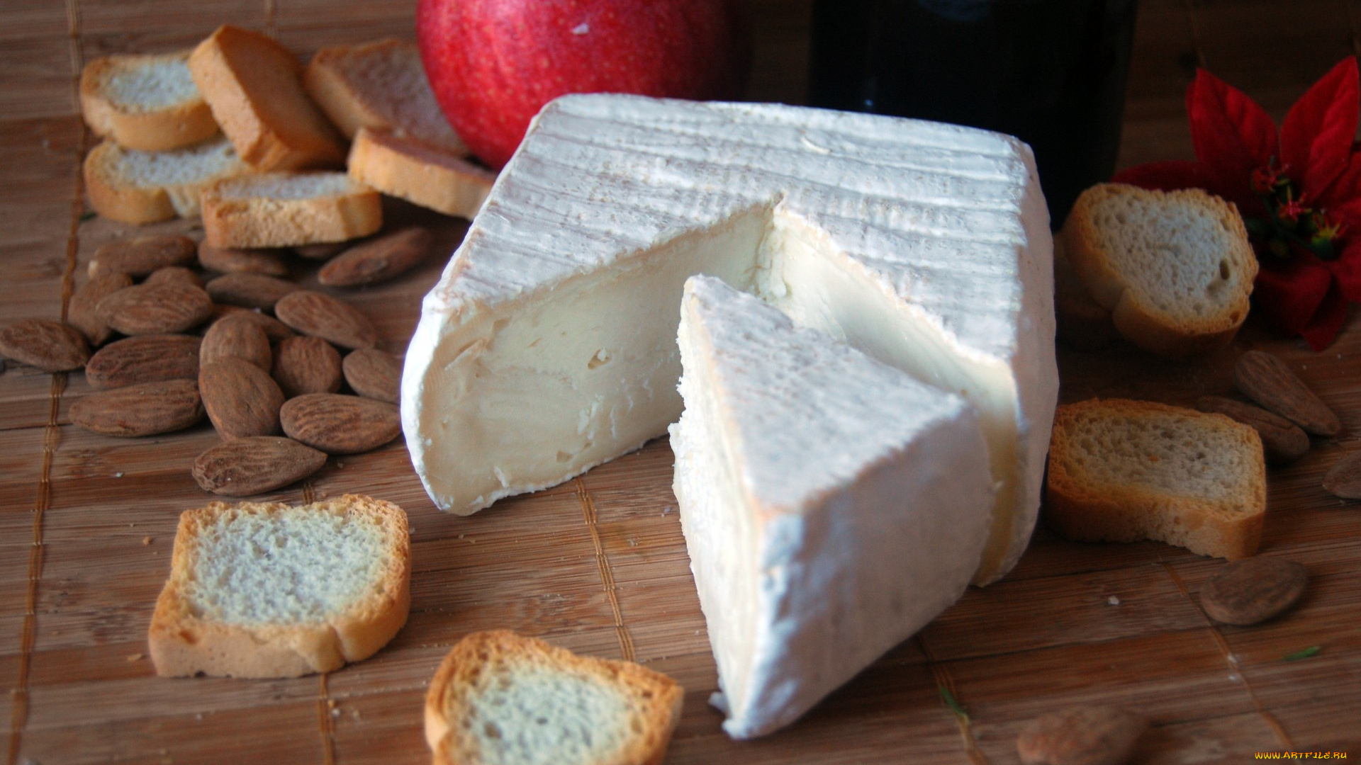 kuadrat, pell, florida, еда, сырные, изделия, сыр