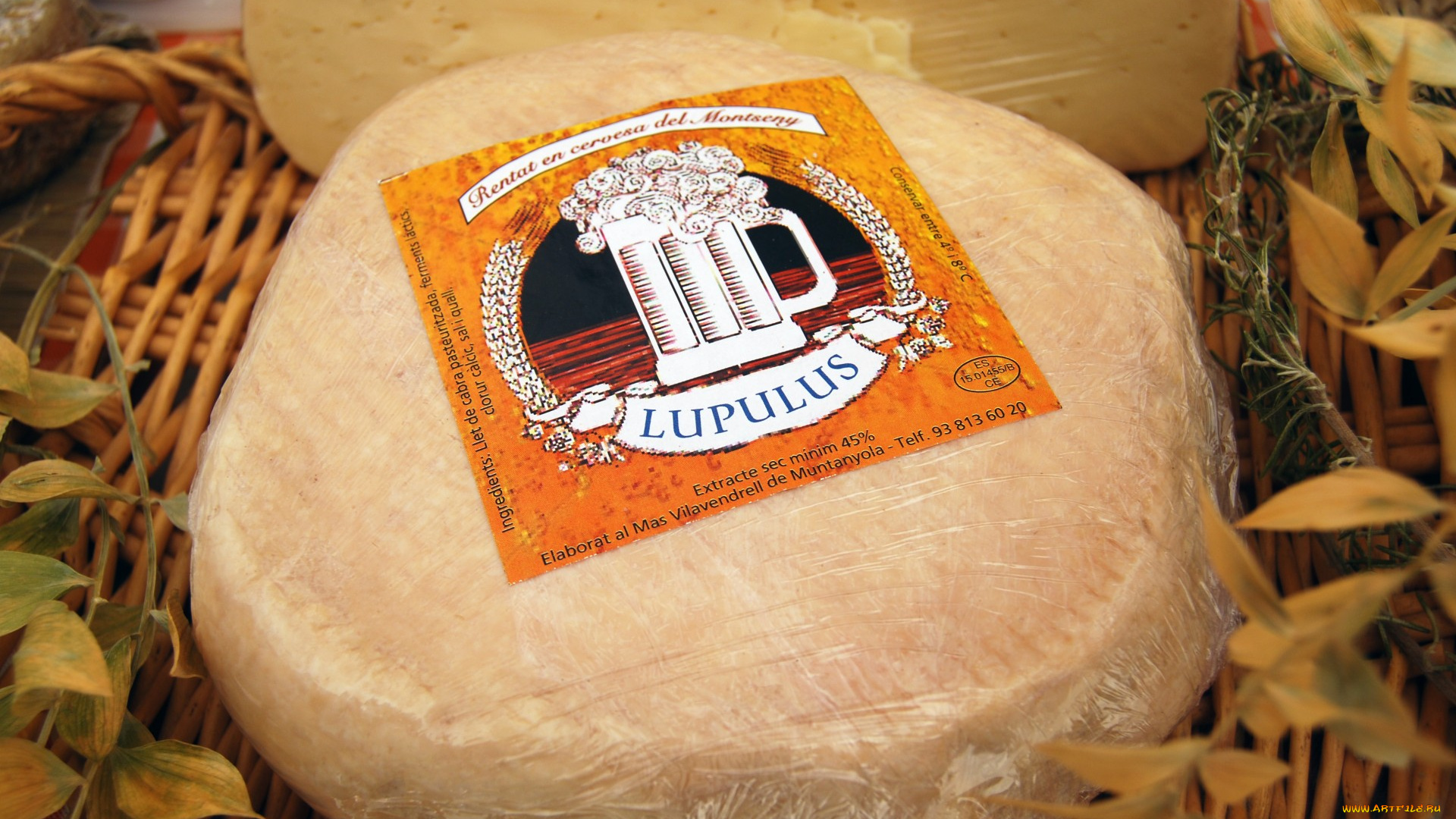 lupulus, еда, сырные, изделия, сыр