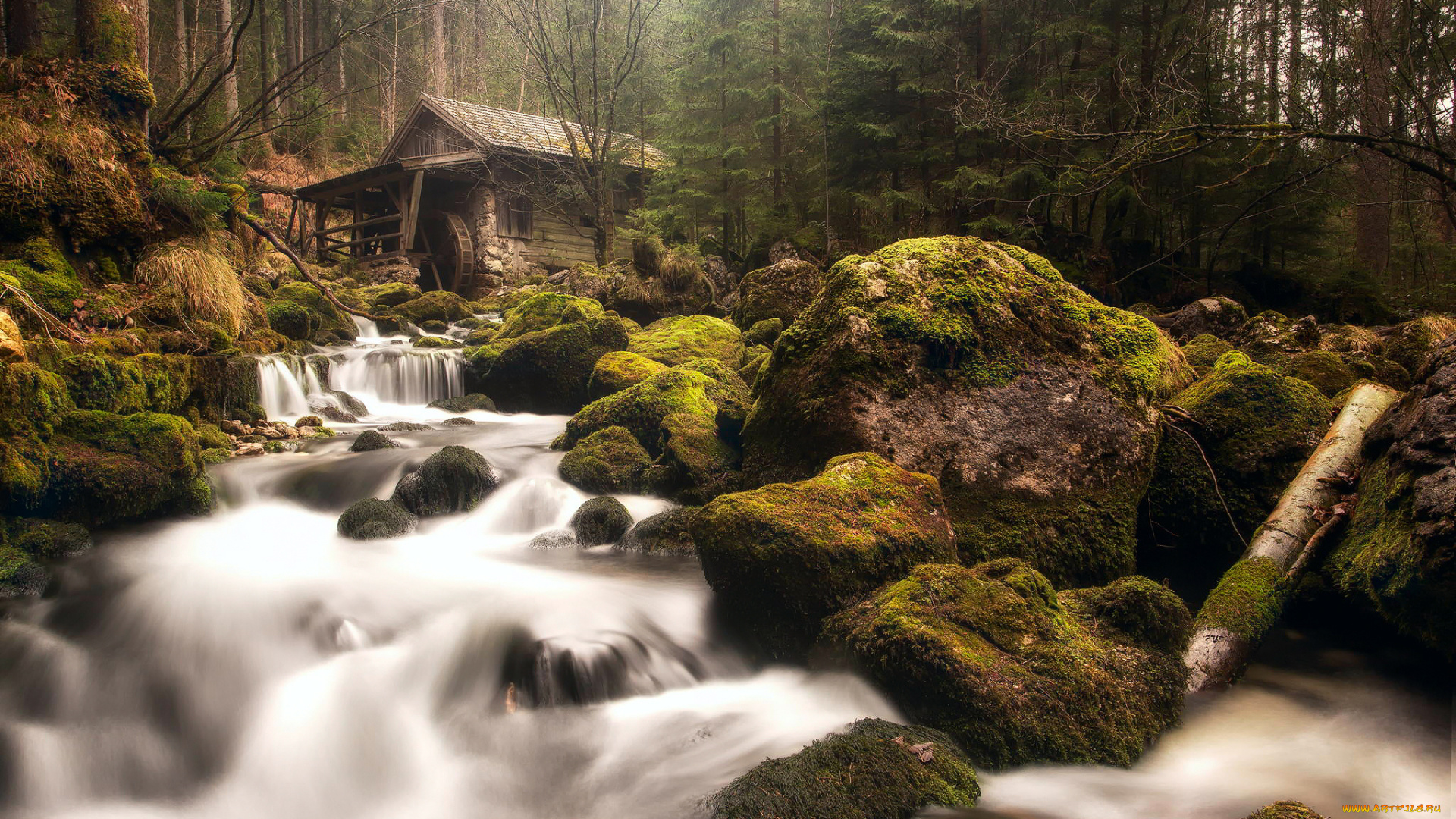 разное, мельницы, дымка, лес, мох, камни, водопады, потоки, голлинг-на-зальцахе, австрия, река, водяная, мельница