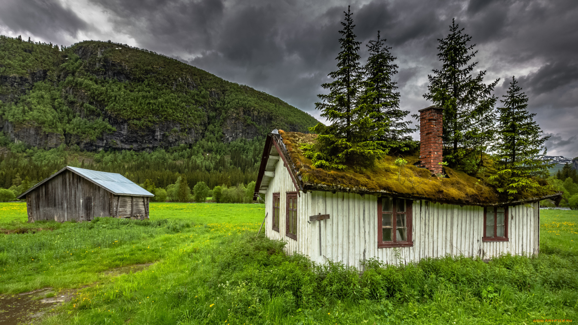 разное, развалины, , руины, , металлолом, деревья, мох, крыша, дом, house, norway, природа, горы