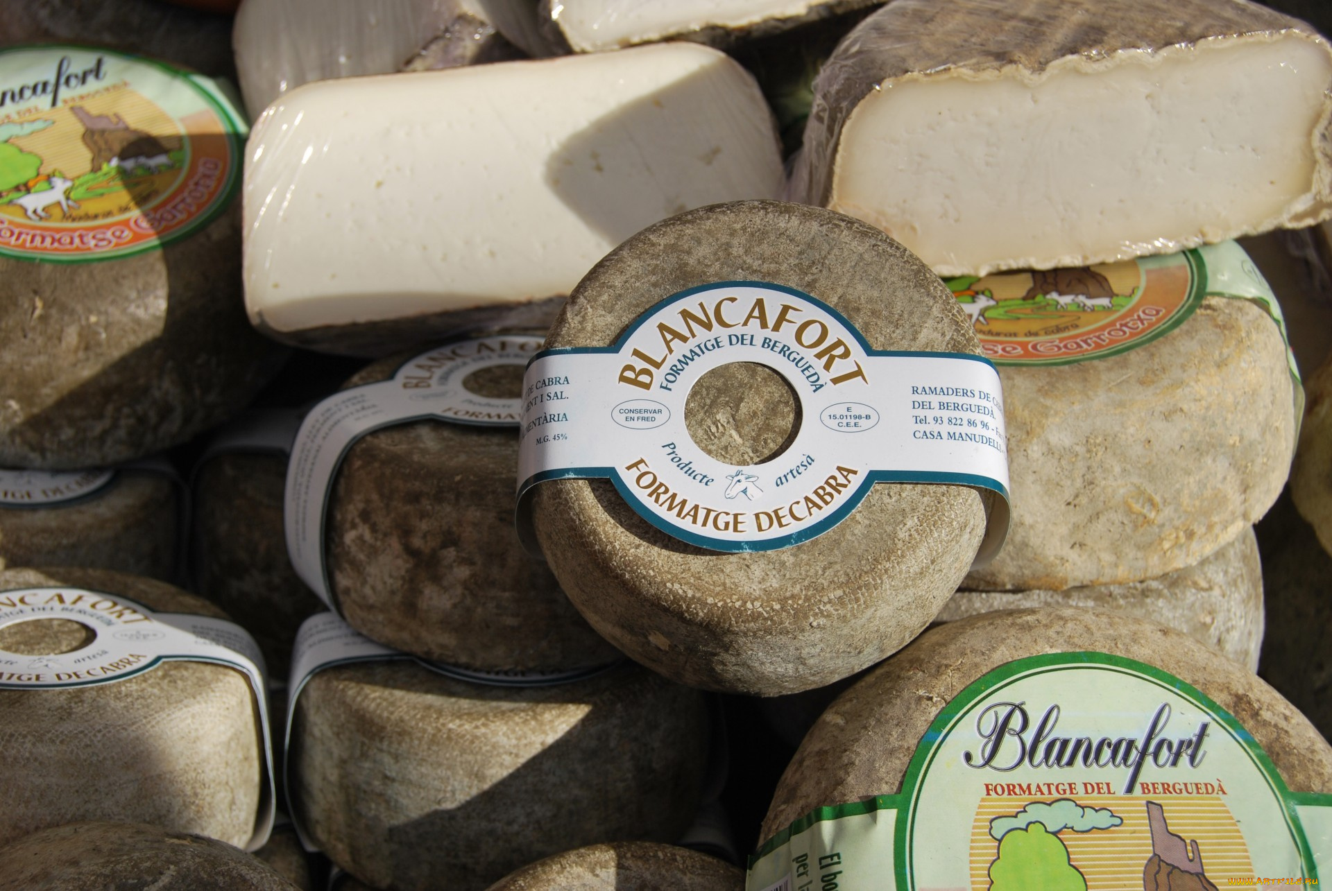blancafort, еда, сырные, изделия, сыр