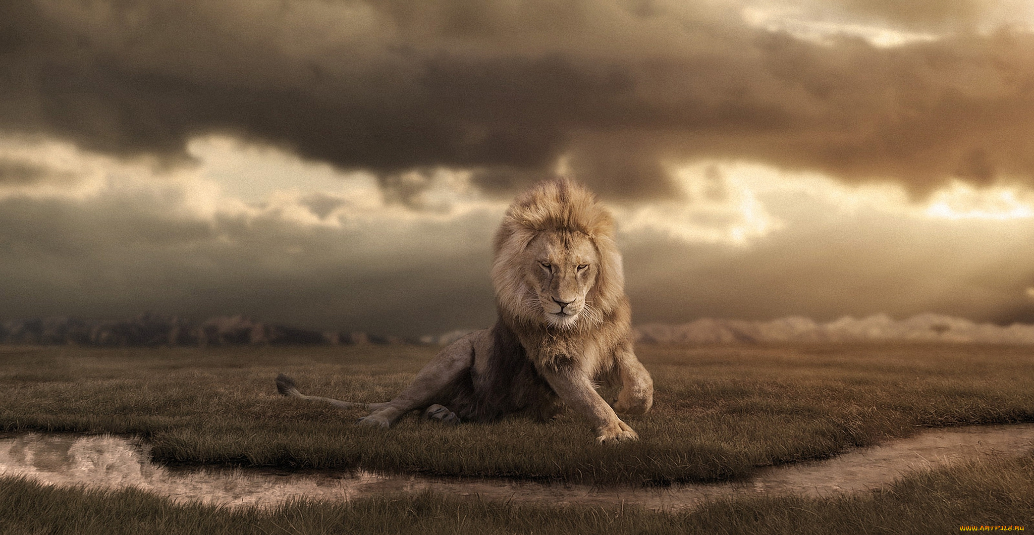 животные, львы, тучи, дикая, природа, ретушь, африка, лев