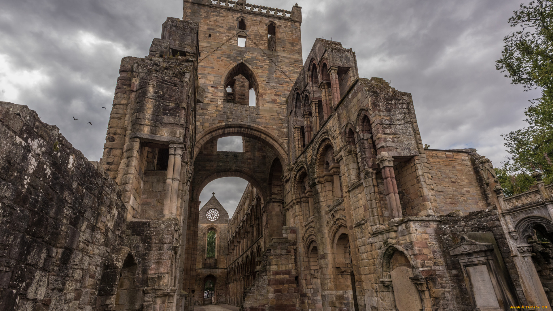 jedburgh, abbey, города, -, католические, соборы, , костелы, , аббатства, аббатство