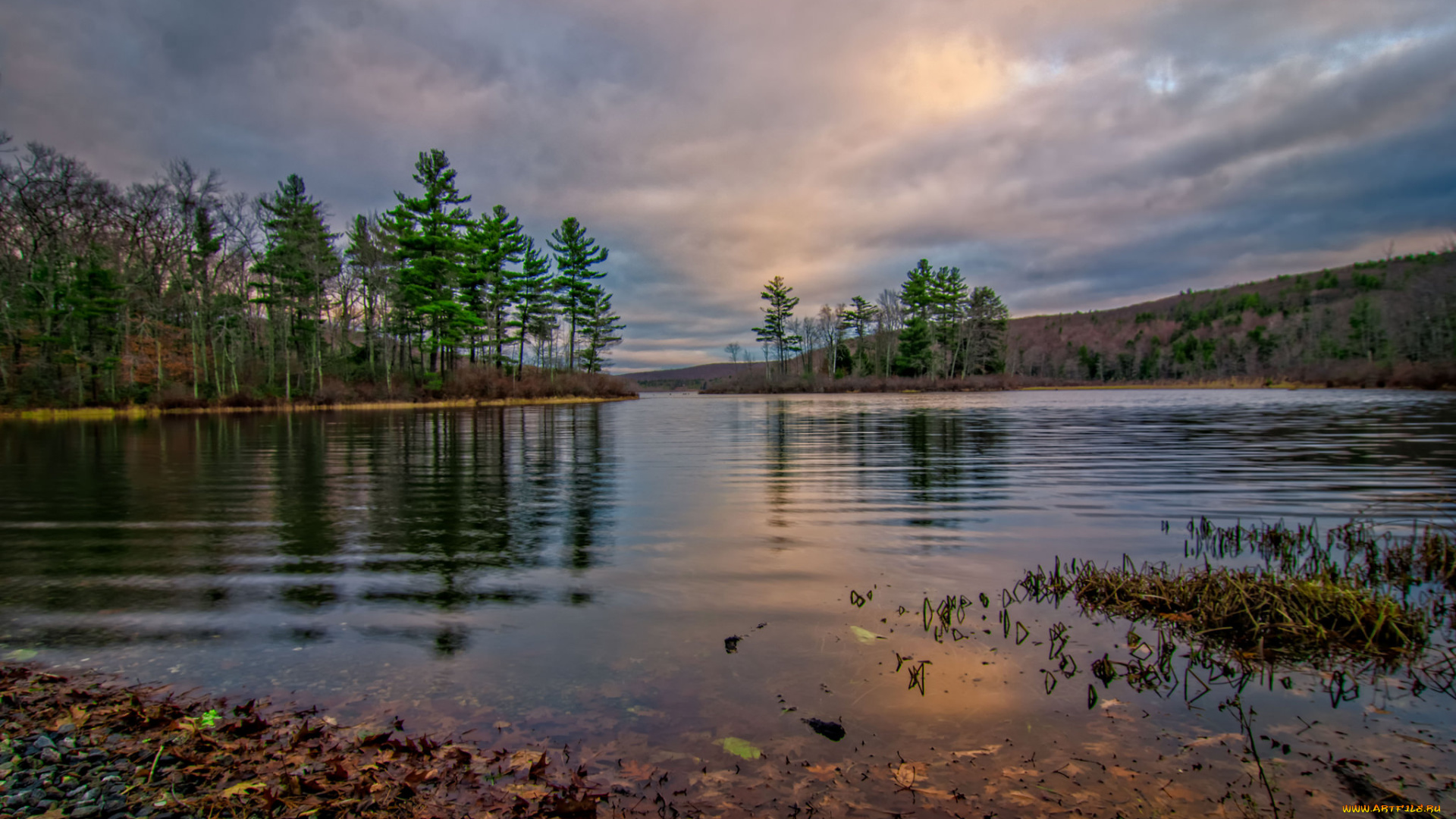 природа, реки, озера, лес, река