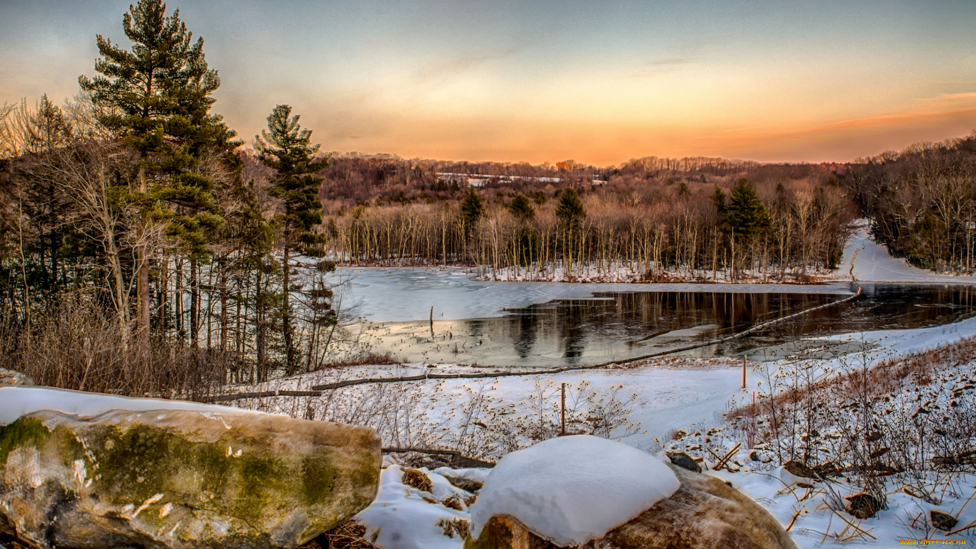 природа, реки, озера, лес, река