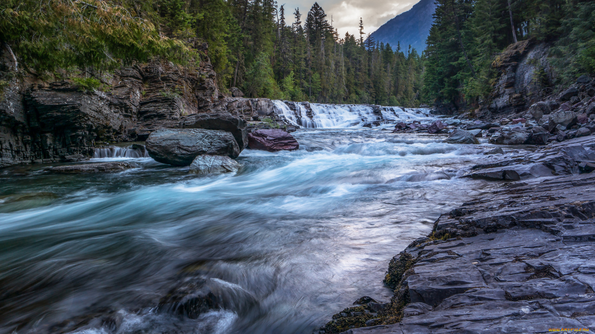 природа, реки, озера, лес, река